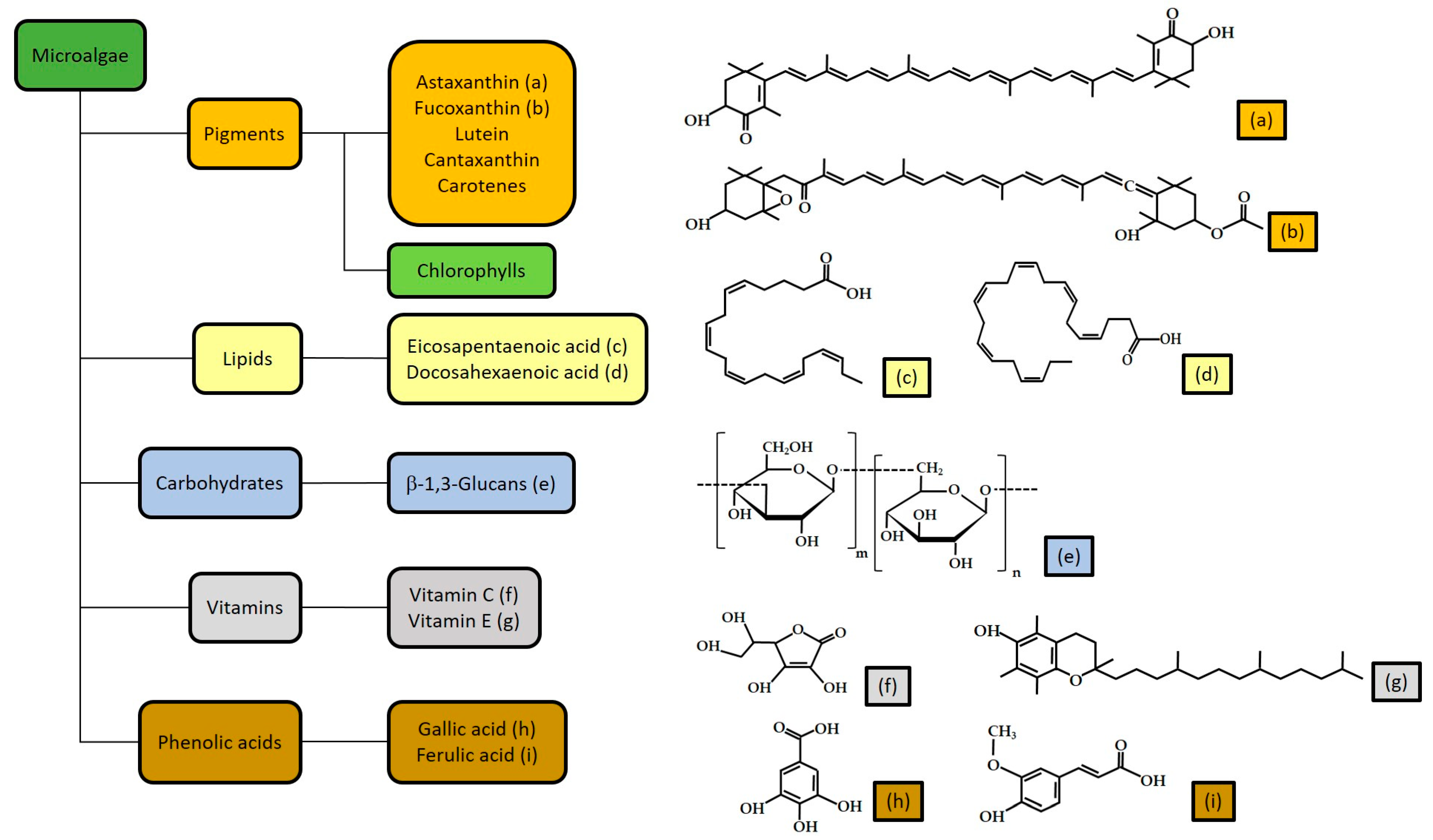 Antioxidants 12 01050 g001