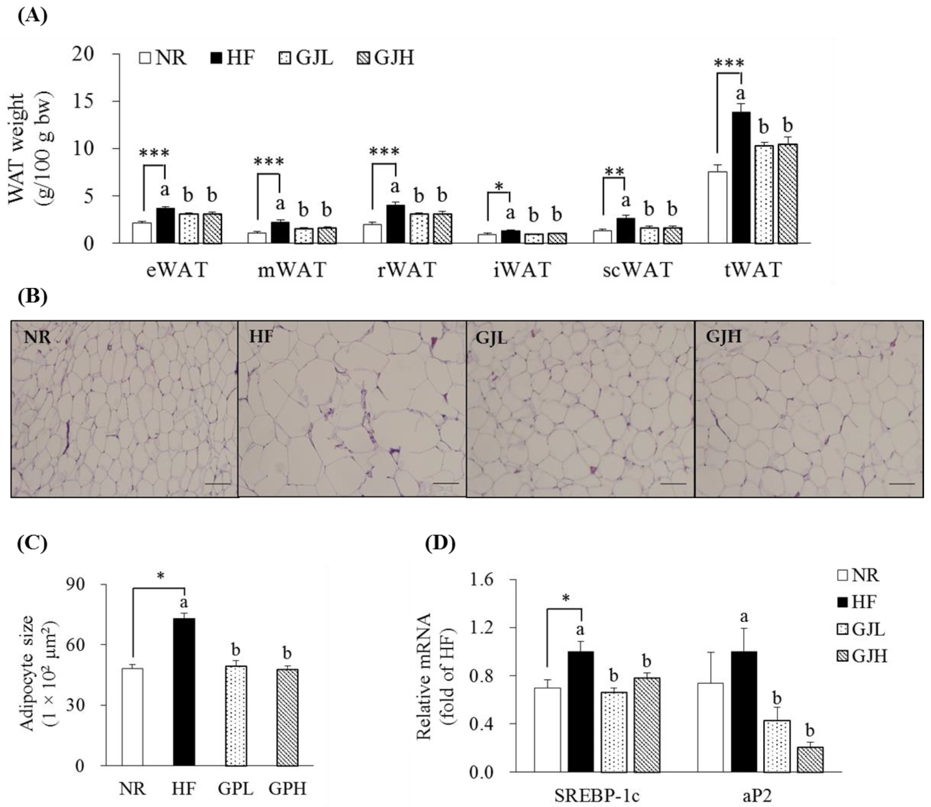 Antioxidants 12 01053 g003 Antioxidants 12 01053 g003