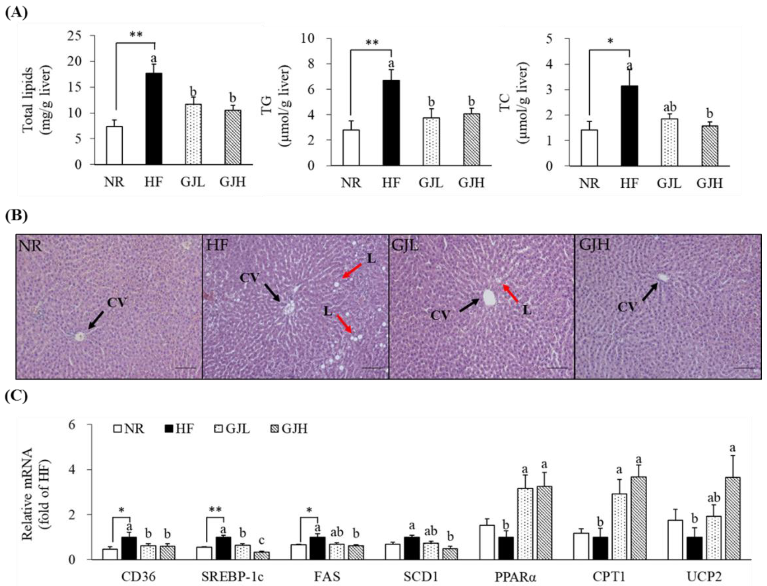 Antioxidants 12 01053 g004 Antioxidants 12 01053 g004