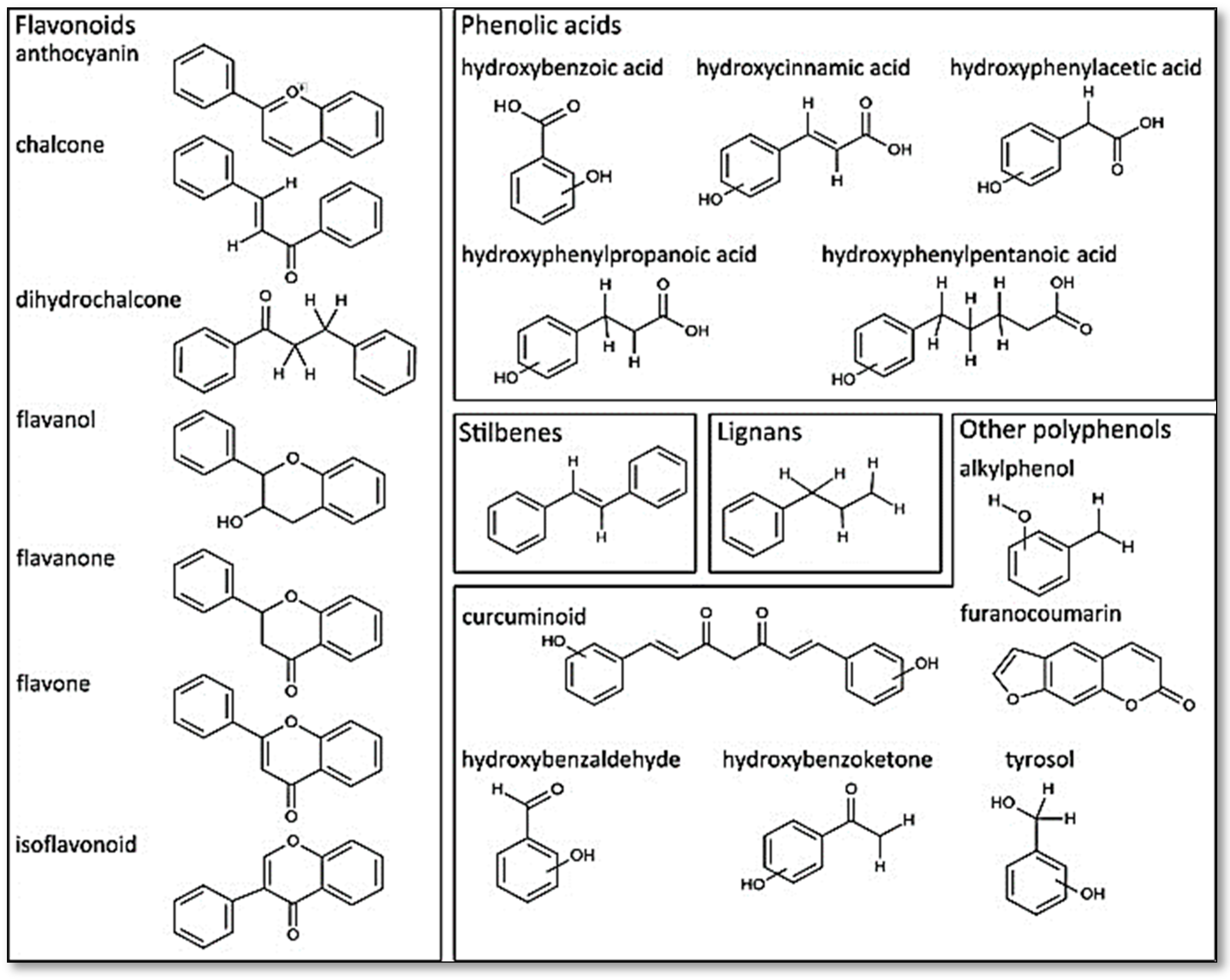 Antioxidants 12 01054 g001 Antioxidants 12 01054 g001
