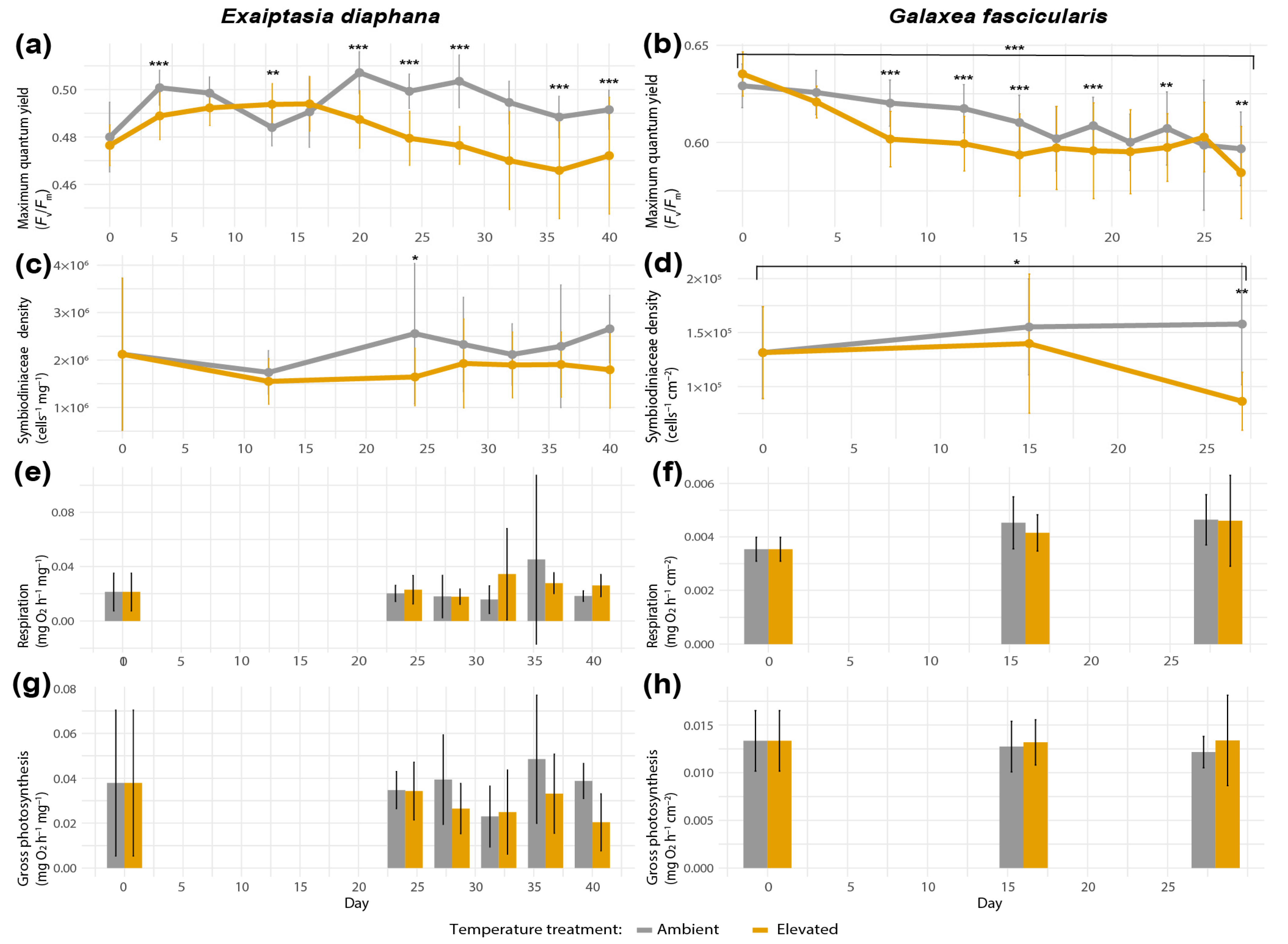 Antioxidants 12 01057 g003 Antioxidants 12 01057 g003