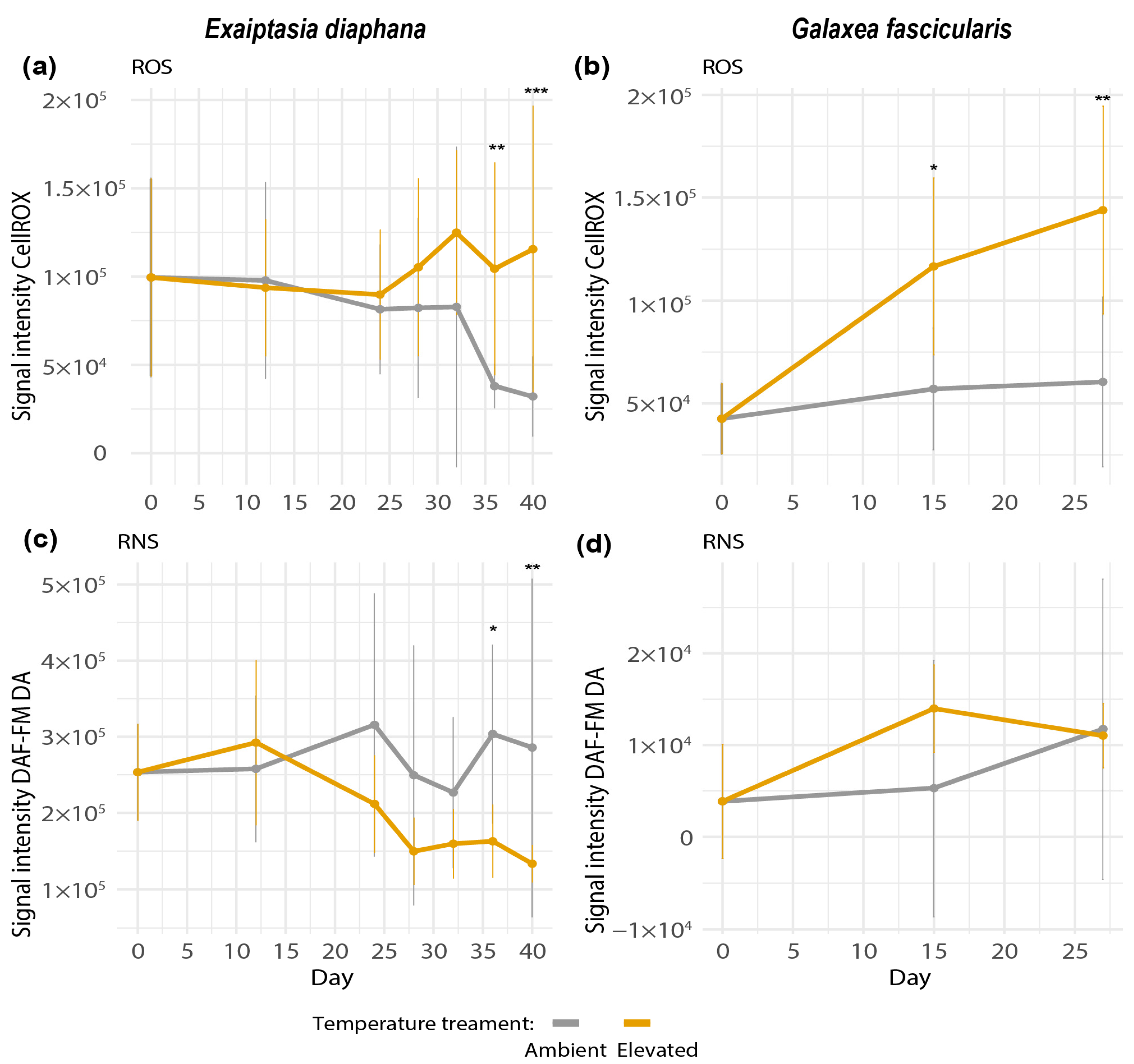 Antioxidants 12 01057 g004 Antioxidants 12 01057 g004
