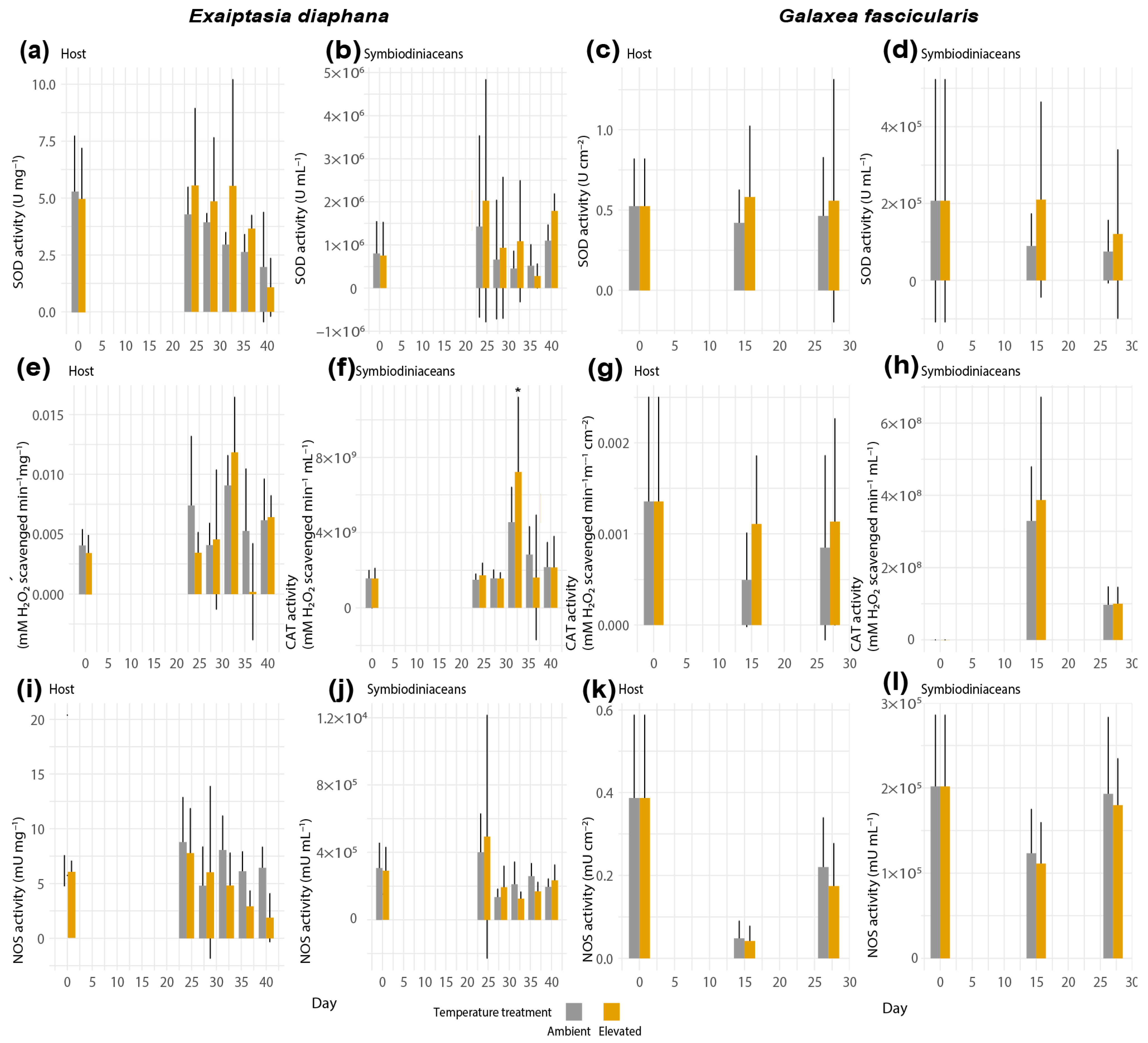 Antioxidants 12 01057 g005 Antioxidants 12 01057 g005