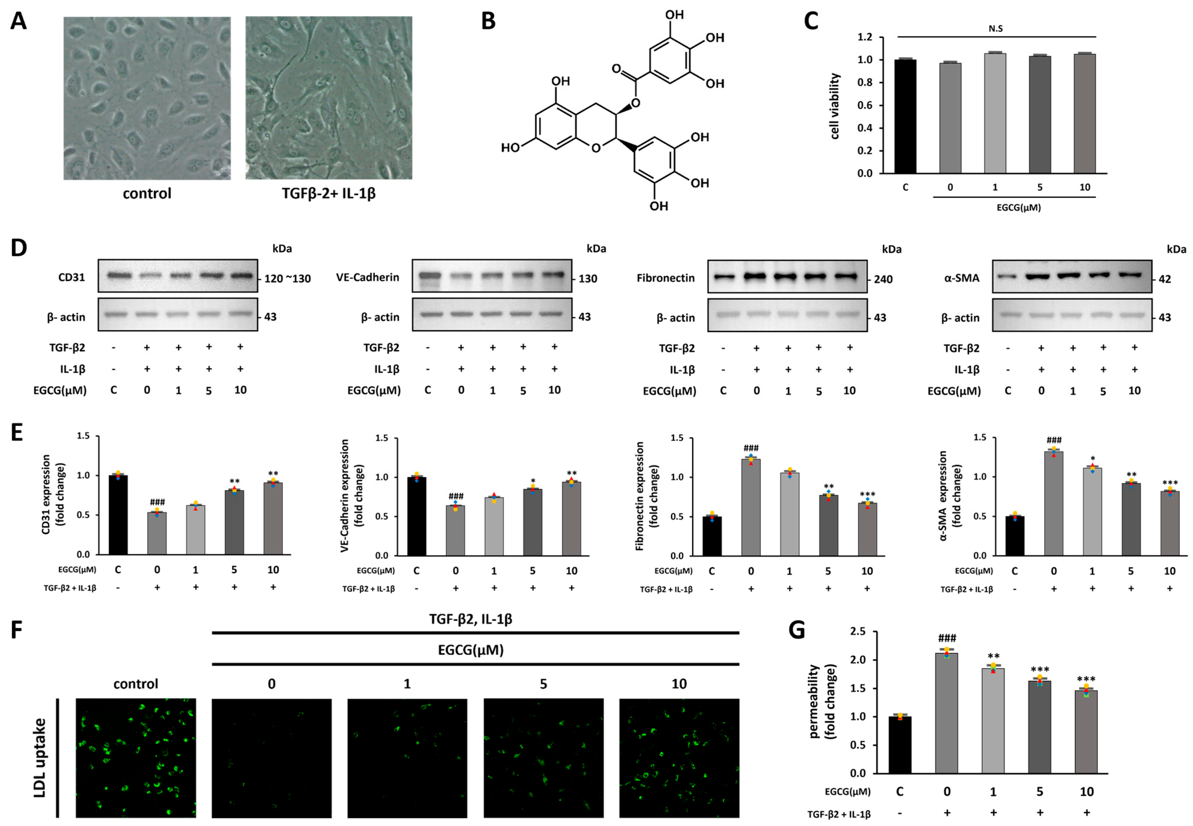 Antioxidants 12 01059 g001 Antioxidants 12 01059 g001