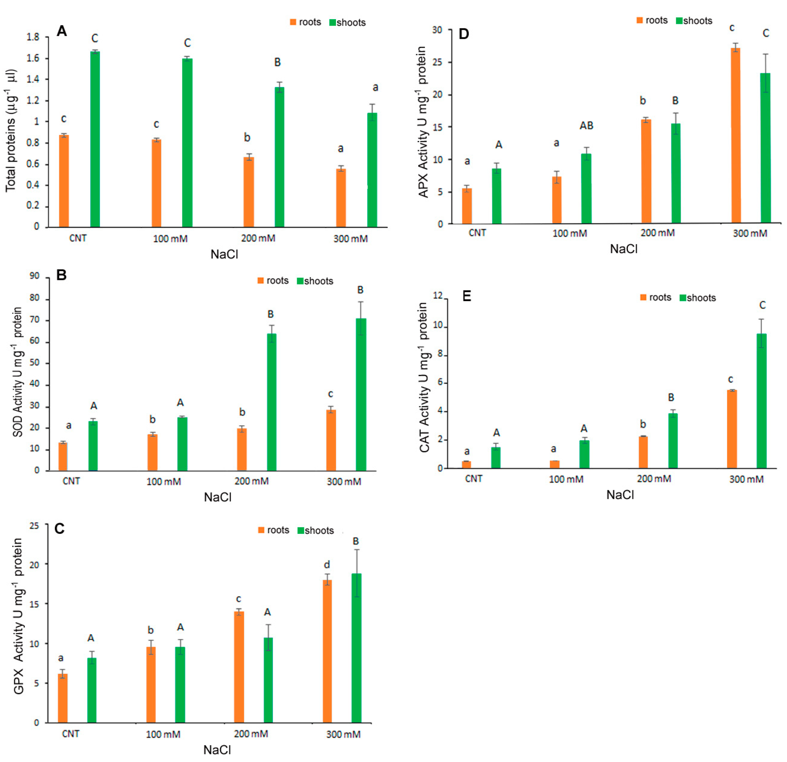 Antioxidants 12 01060 g006 Antioxidants 12 01060 g006