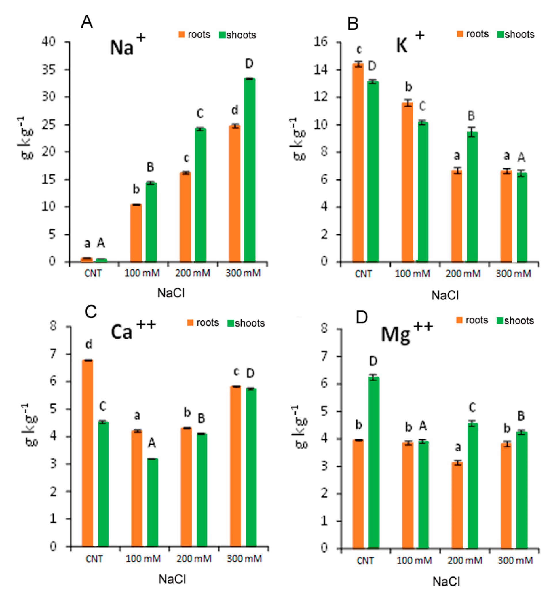 Antioxidants 12 01060 g007 Antioxidants 12 01060 g007