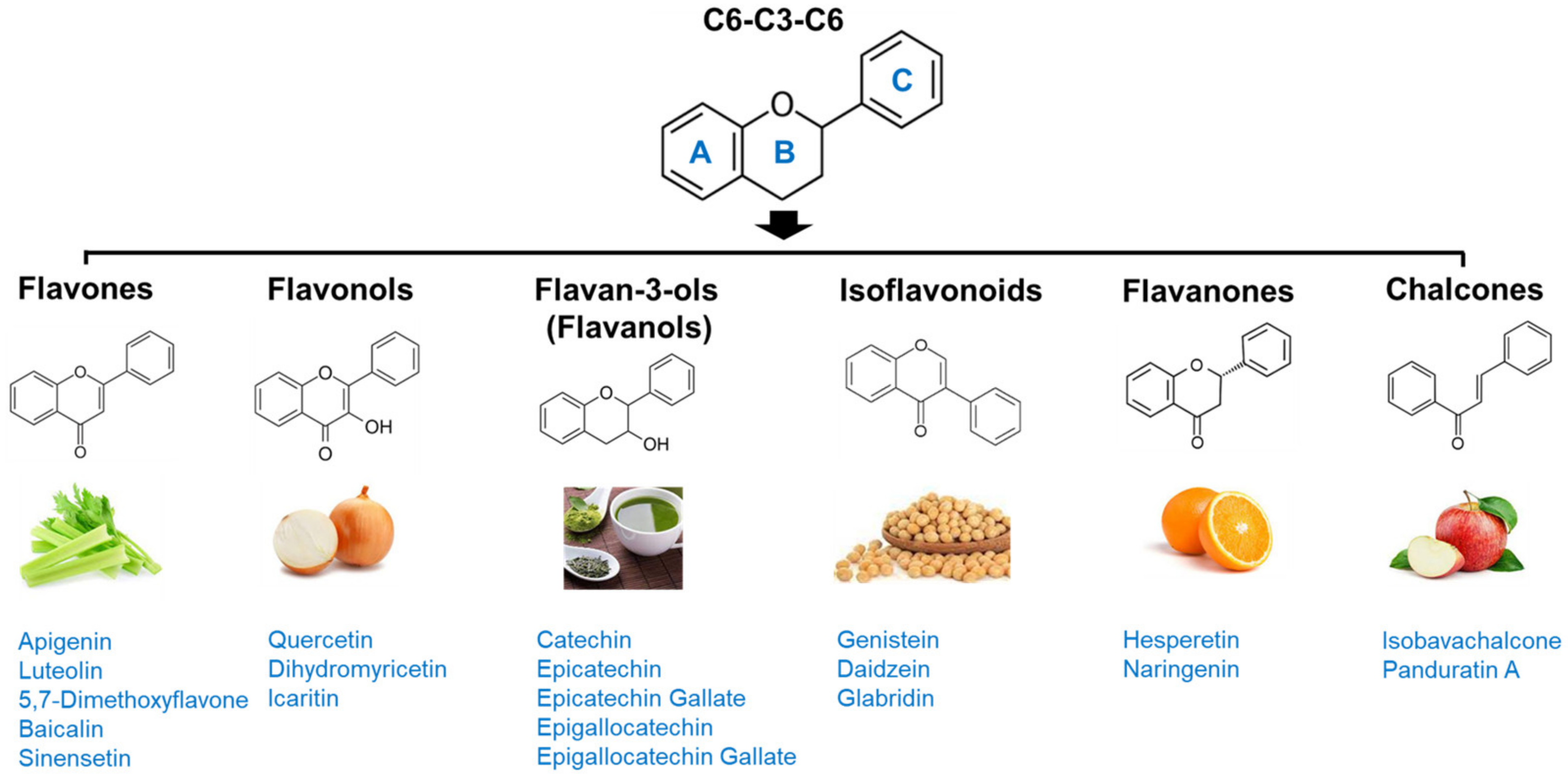 Antioxidants 12 01063 g002 Antioxidants 12 01063 g002