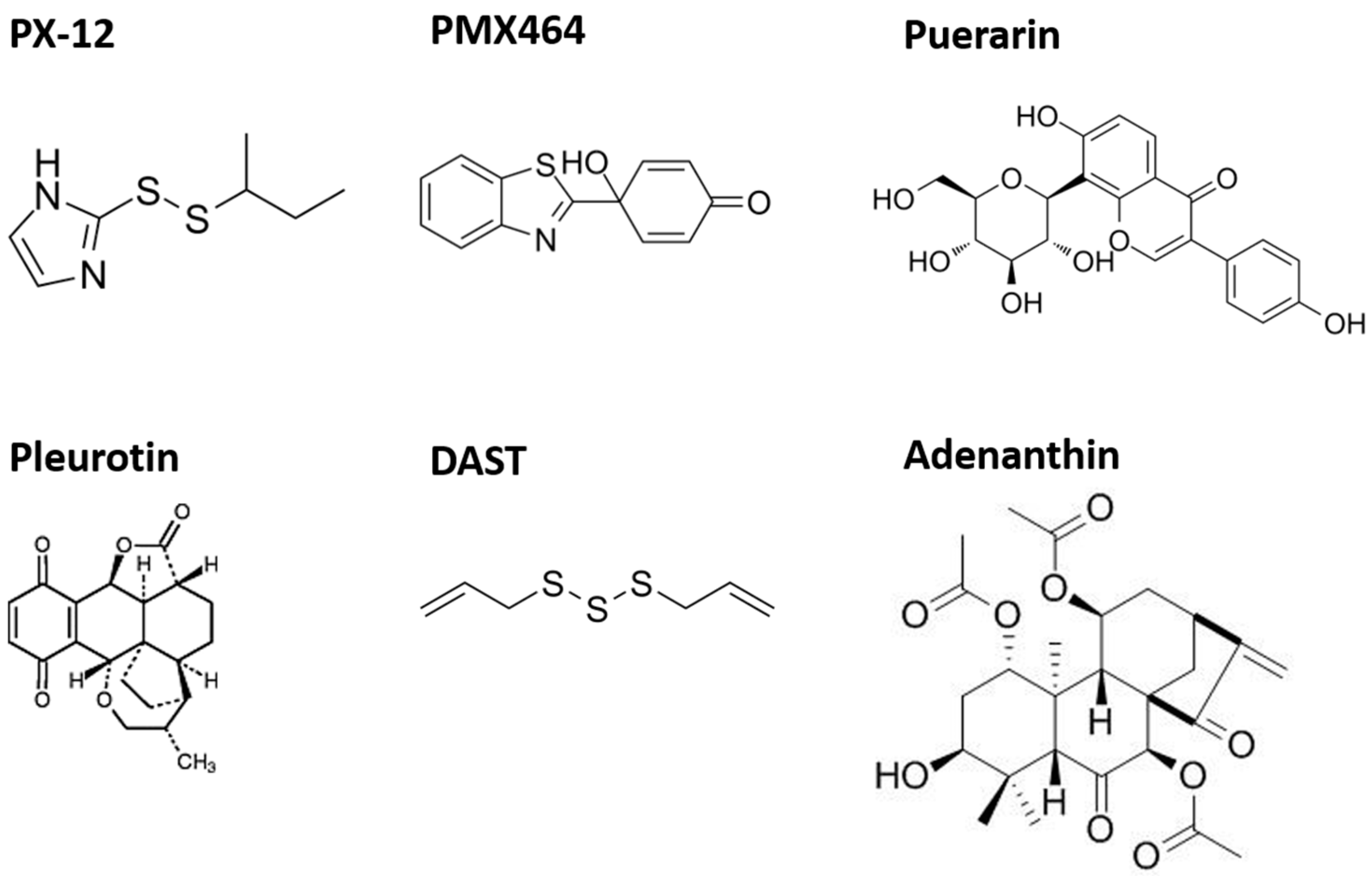 Antioxidants 12 01078 g005 Antioxidants 12 01078 g005