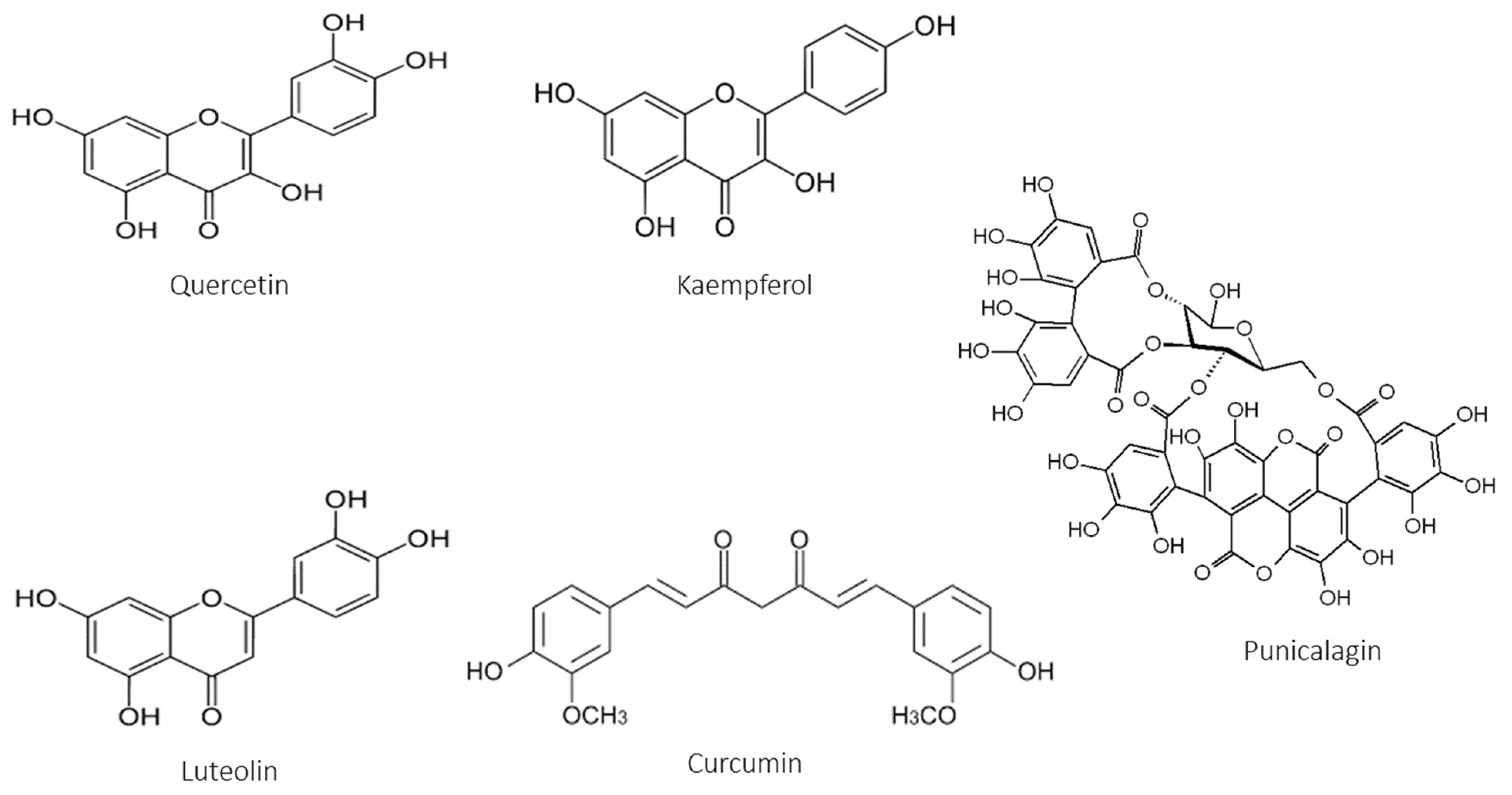 Antioxidants 12 01079 g002