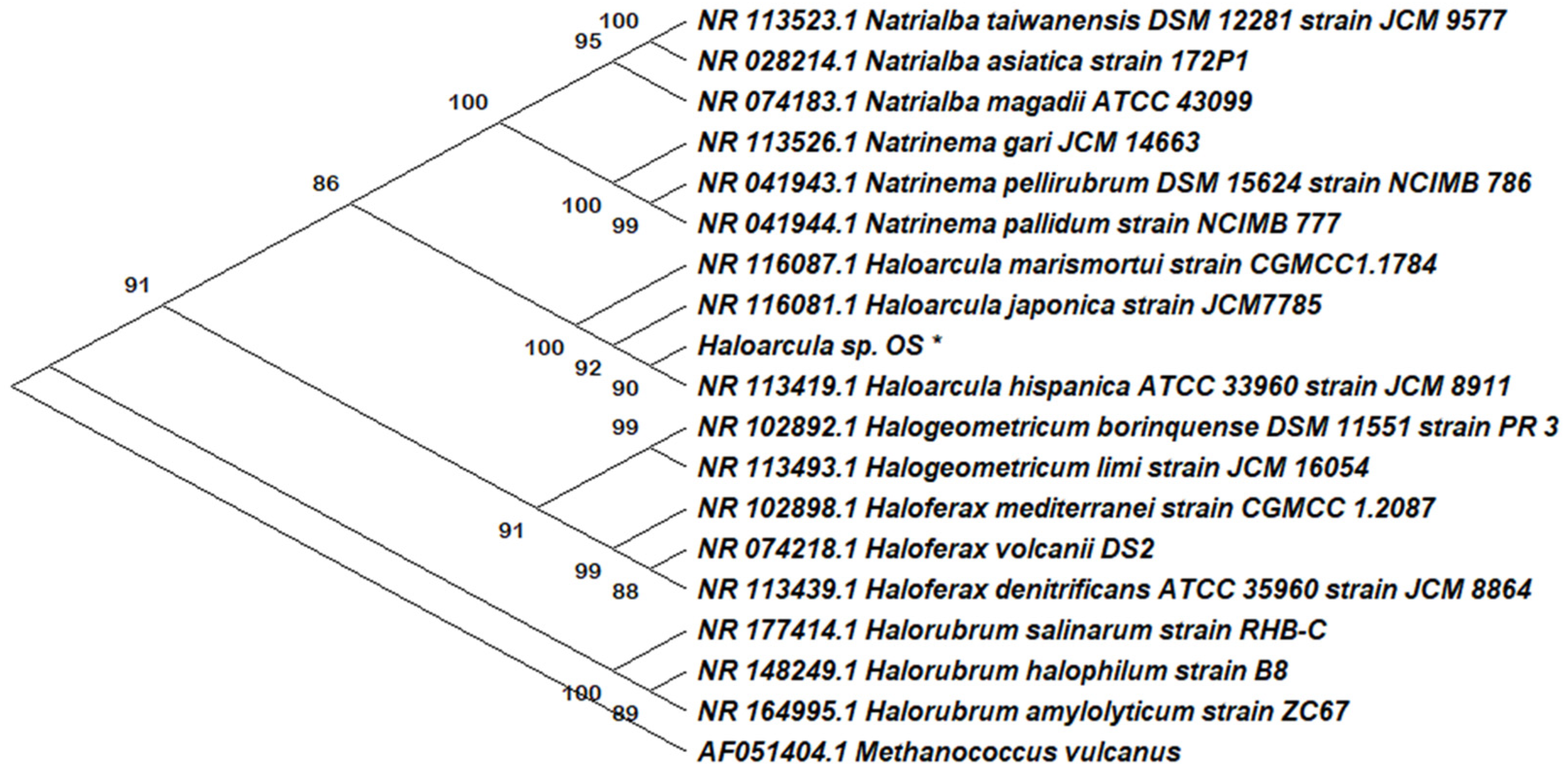 Antioxidants 12 01080 g001 Antioxidants 12 01080 g001