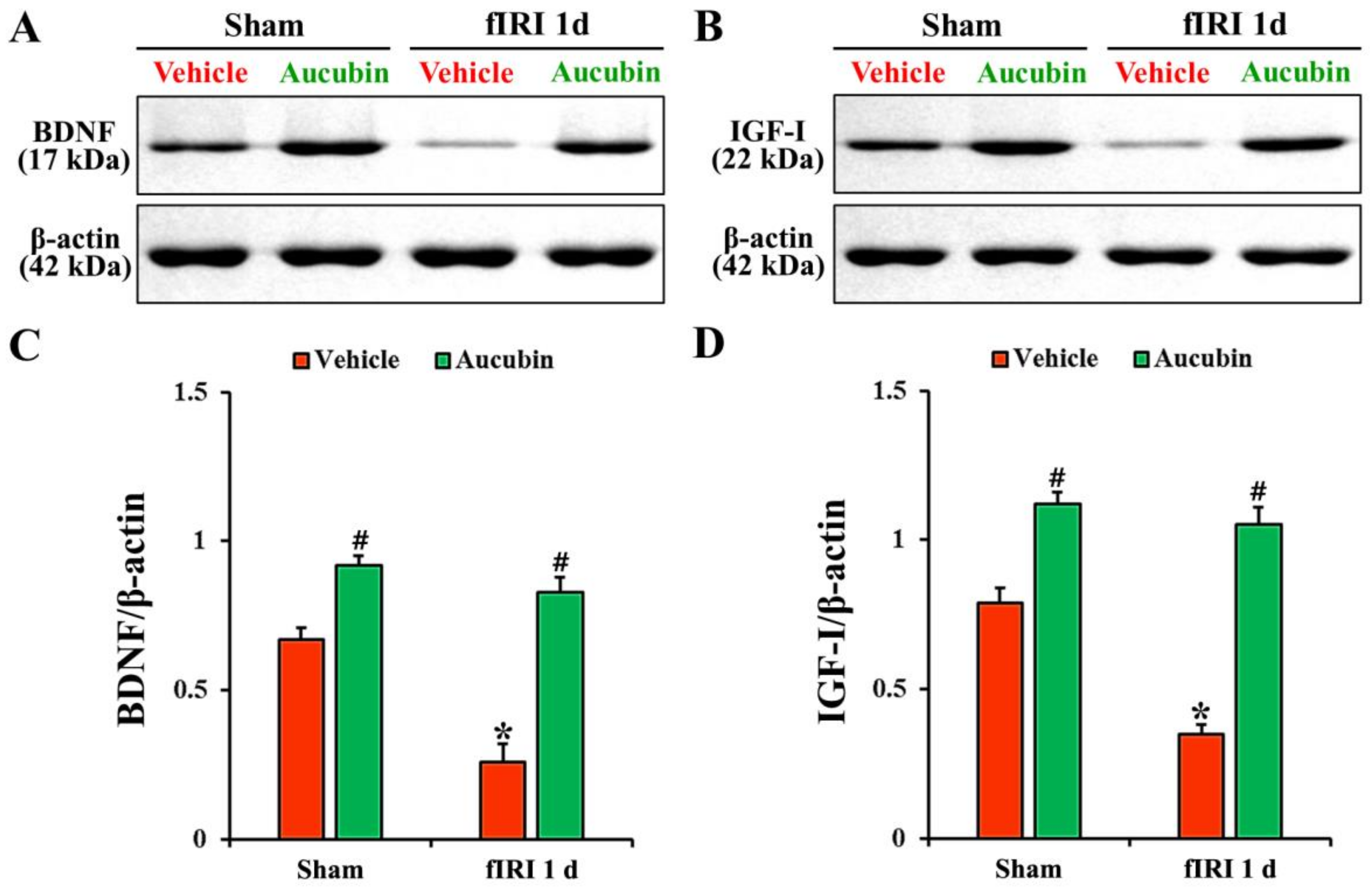 Antioxidants 12 01082 g007