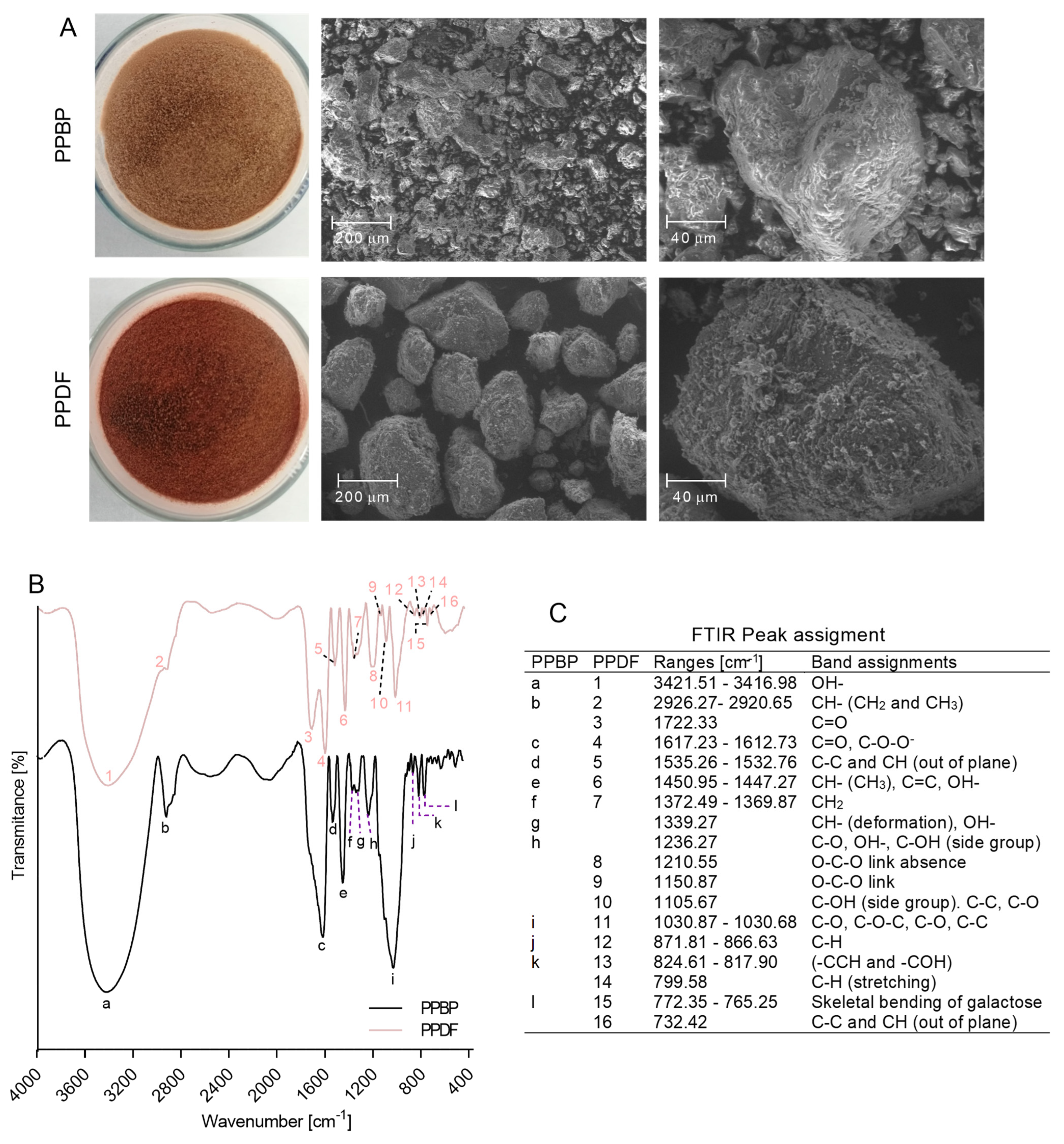 Antioxidants 12 01085 g005 Antioxidants 12 01085 g005