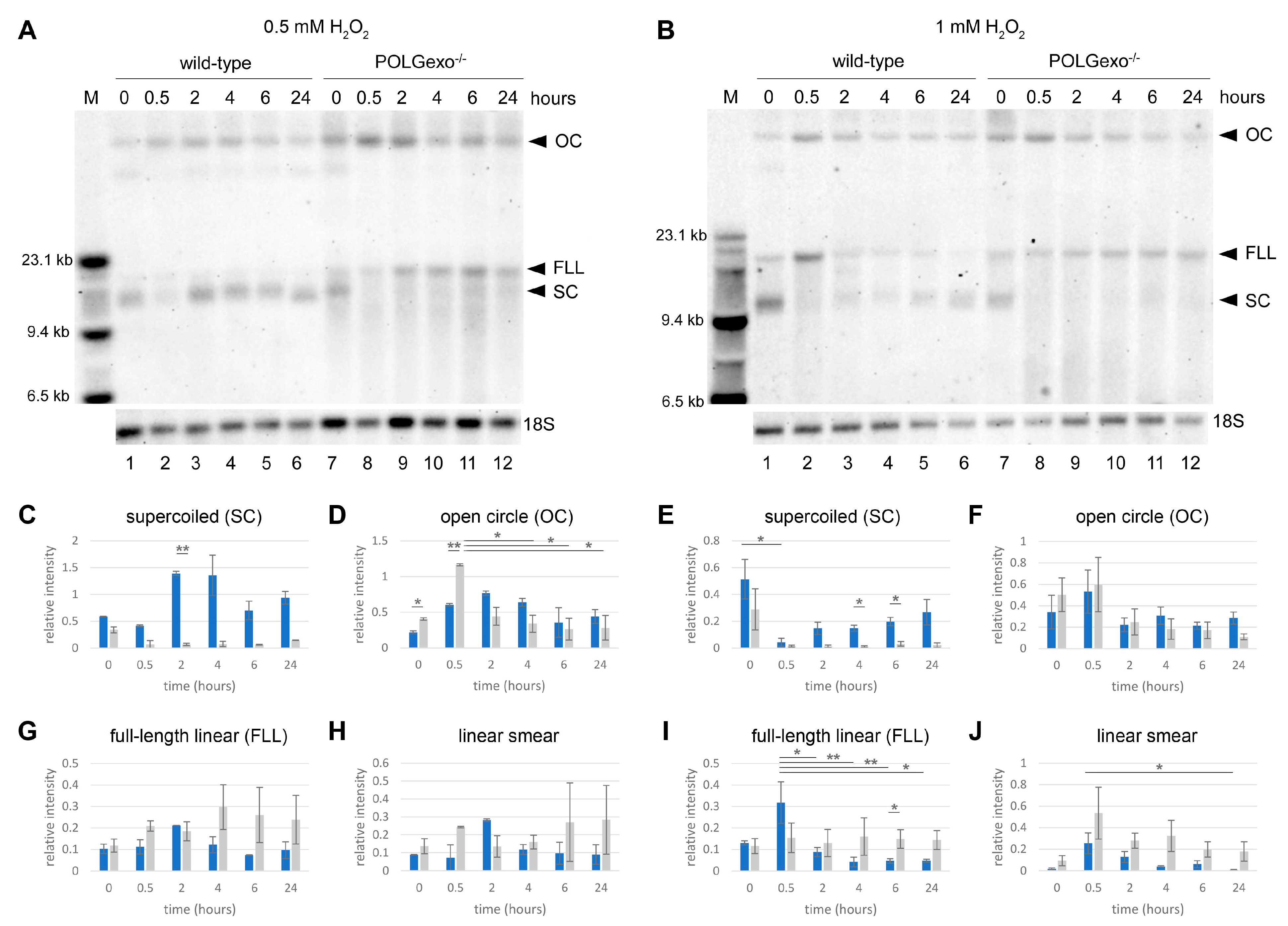 Antioxidants 12 01087 g001