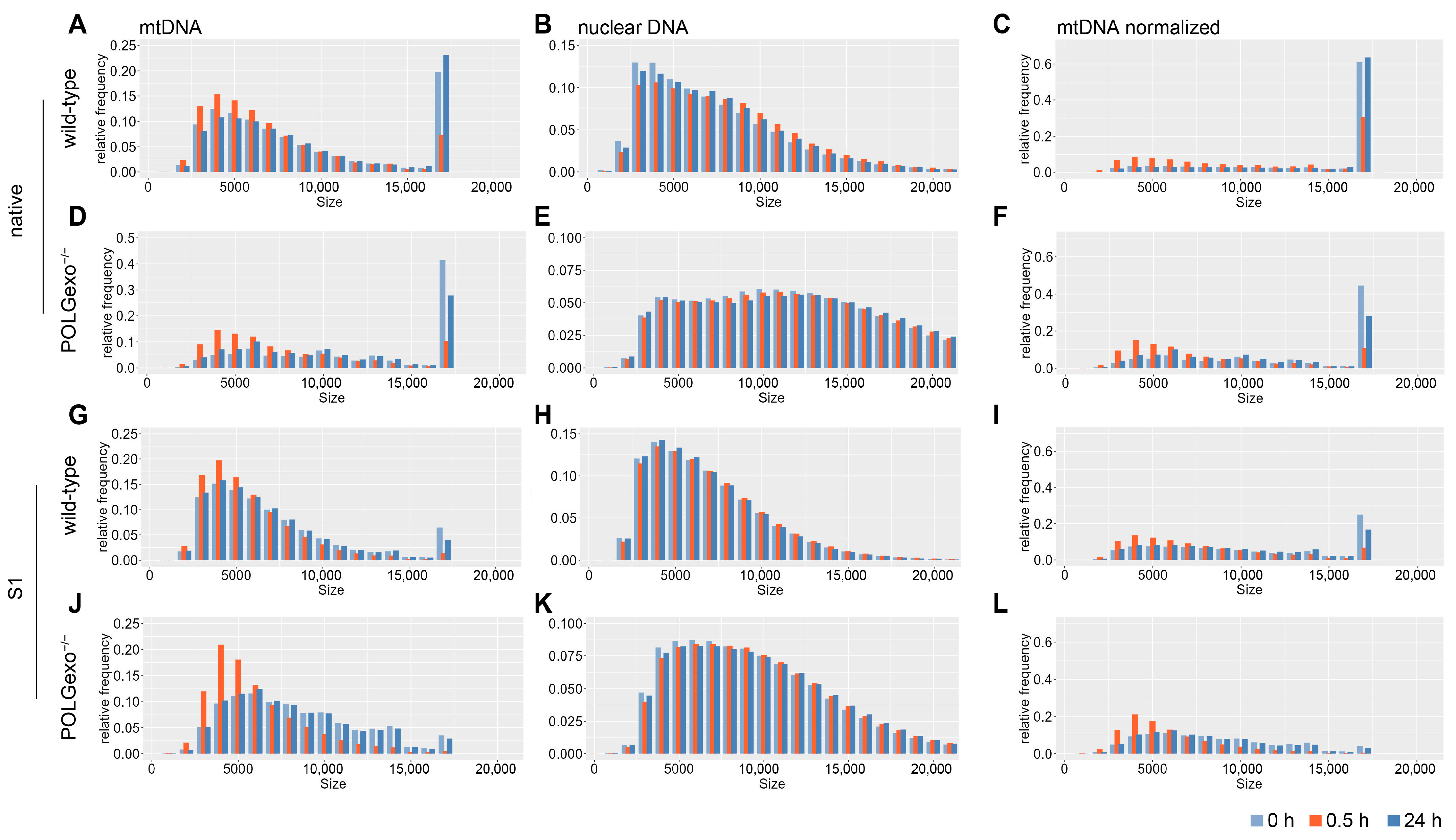 Antioxidants 12 01087 g003