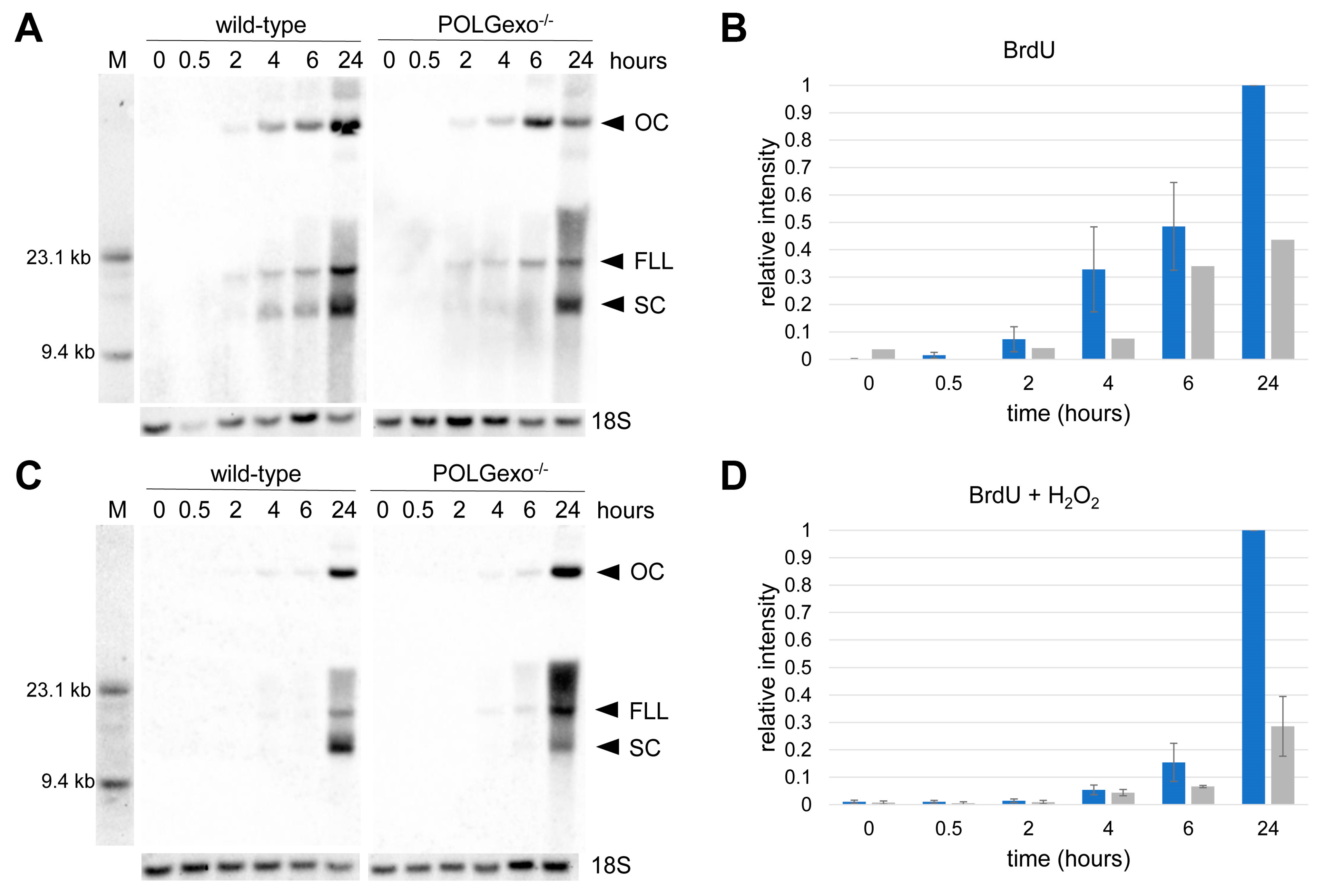 Antioxidants 12 01087 g007