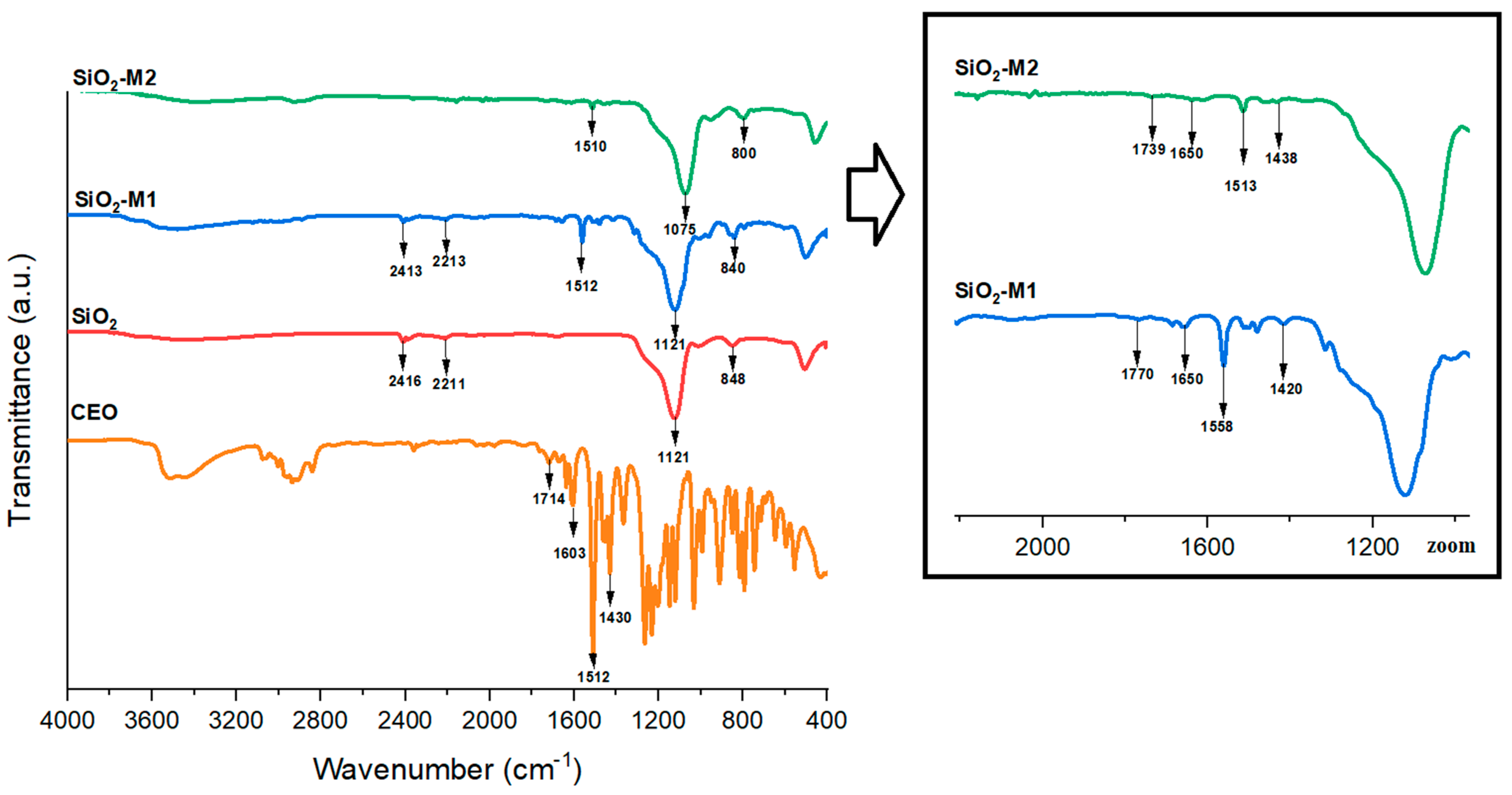 Antioxidants 12 01090 g001