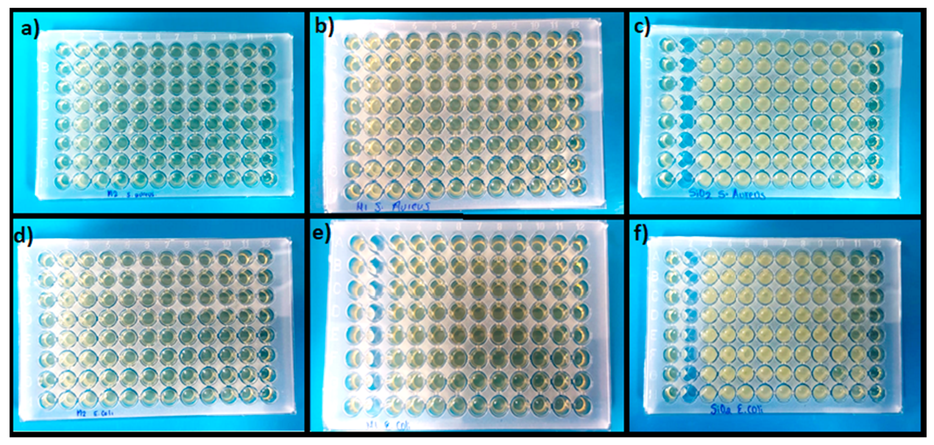 Antioxidants 12 01090 g004
