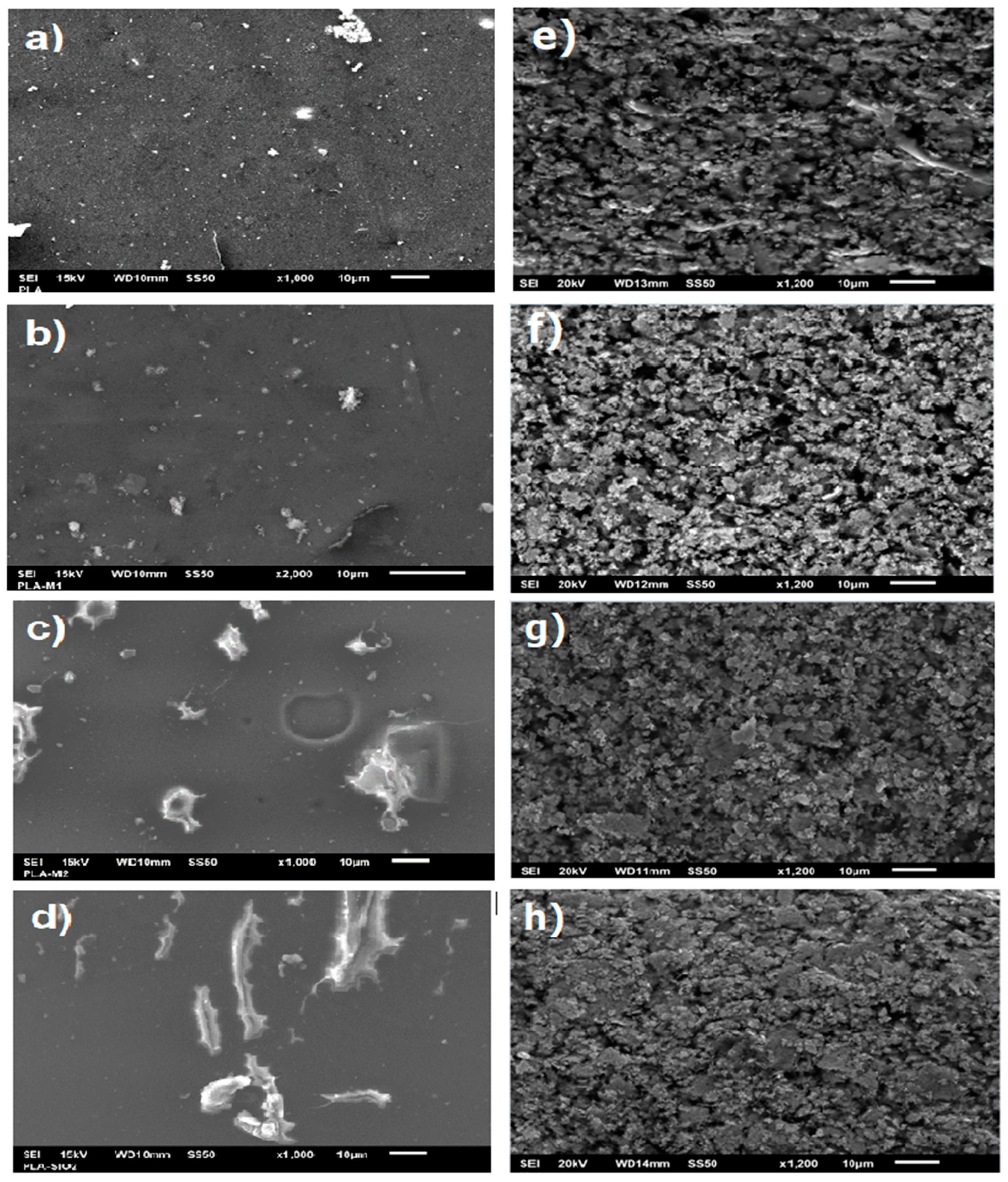 Antioxidants 12 01090 g008