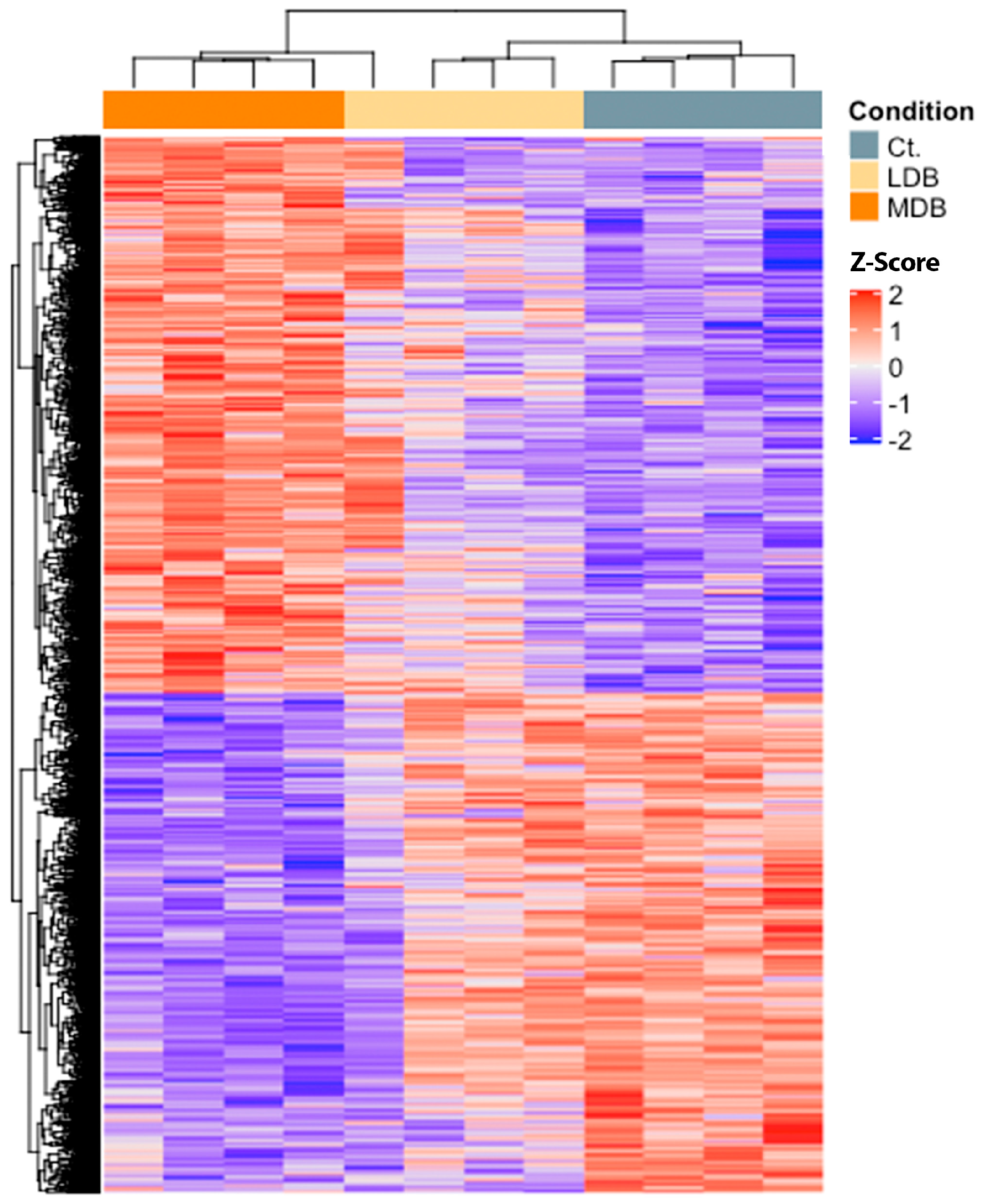 Antioxidants | Free Full-Text | Effects of Antioxidants in Fermented ...
