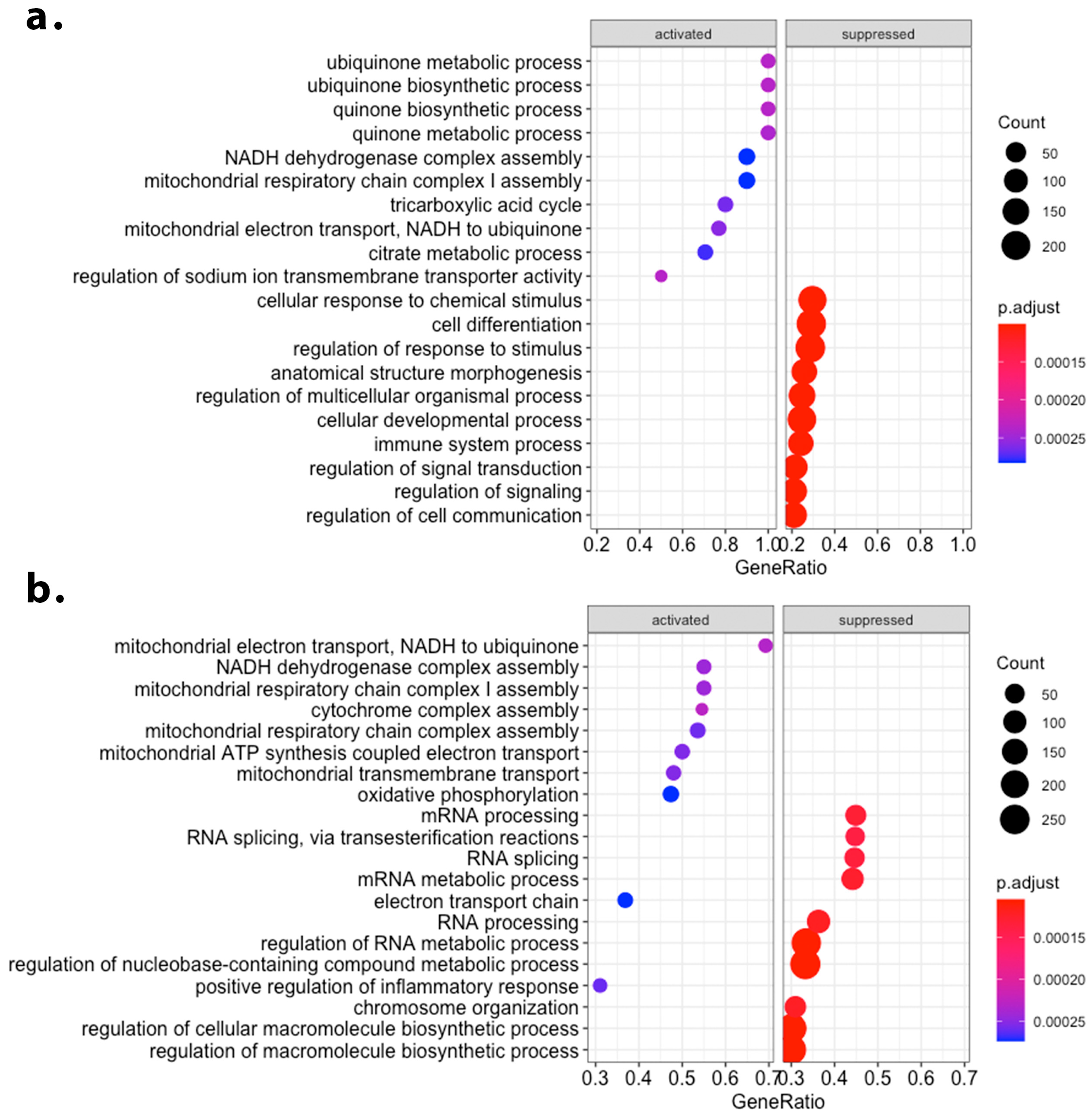 Antioxidants 12 01096 g002
