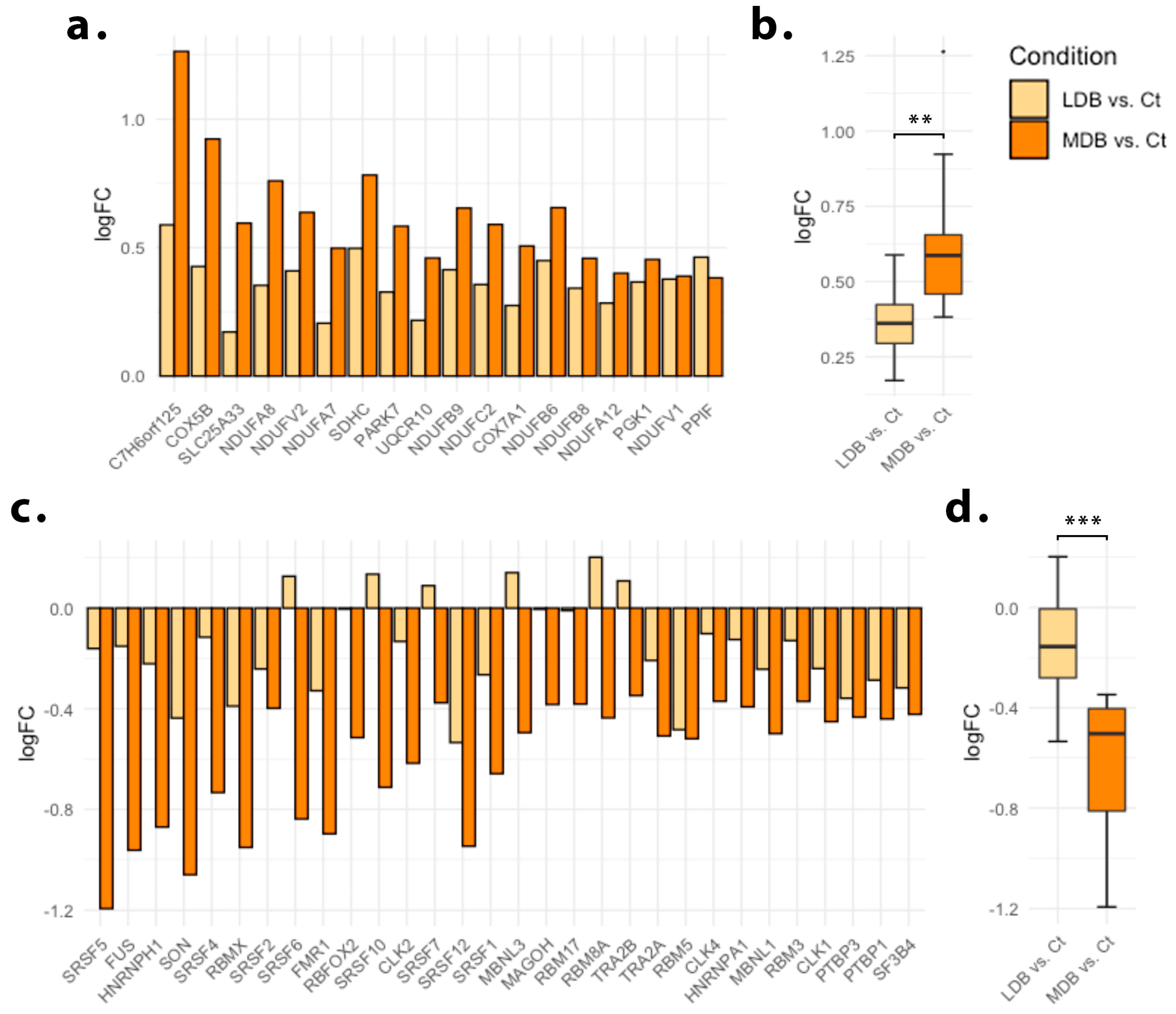 Antioxidants 12 01096 g003