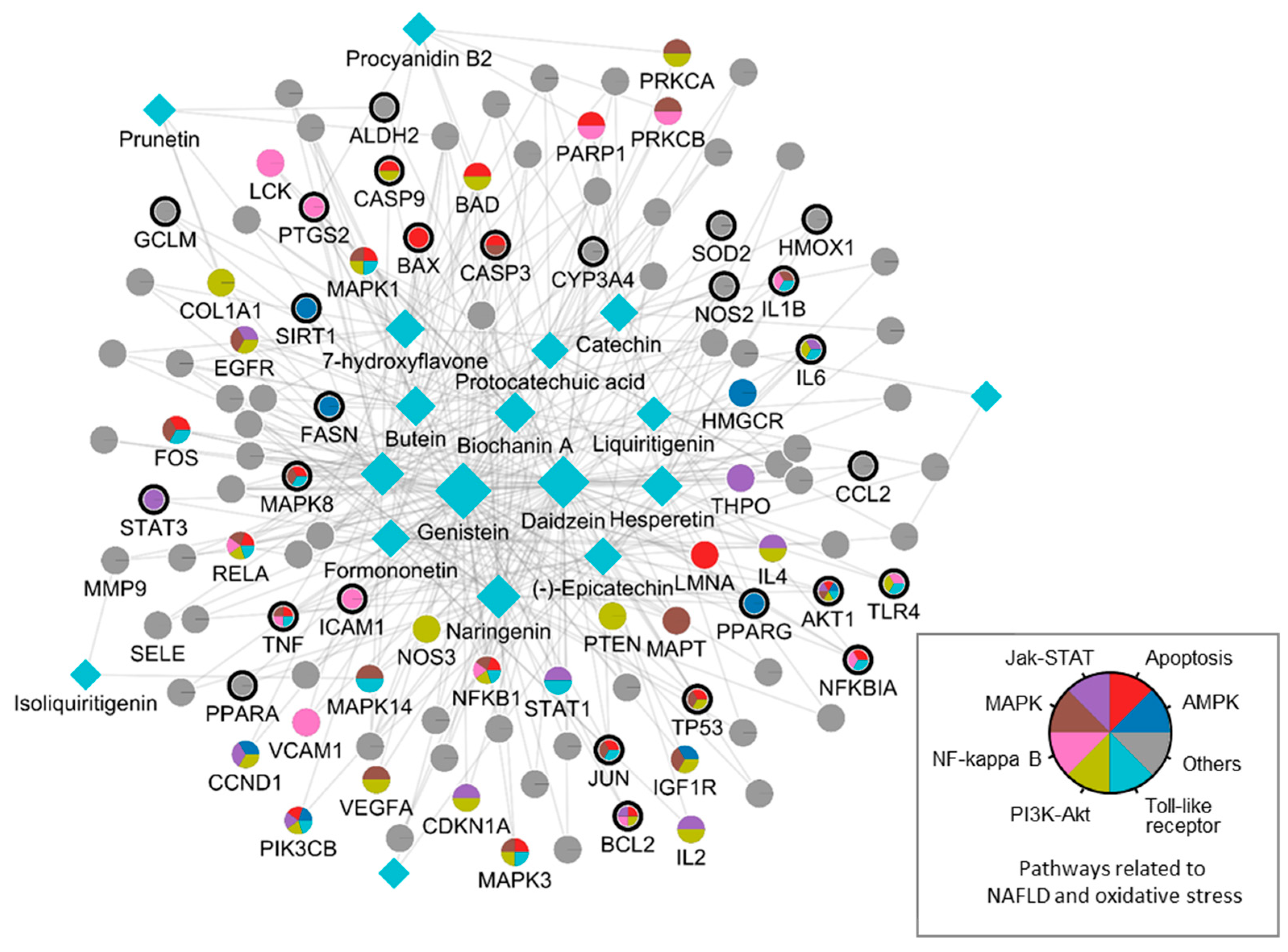 Antioxidants 12 01097 g001 Antioxidants 12 01097 g001
