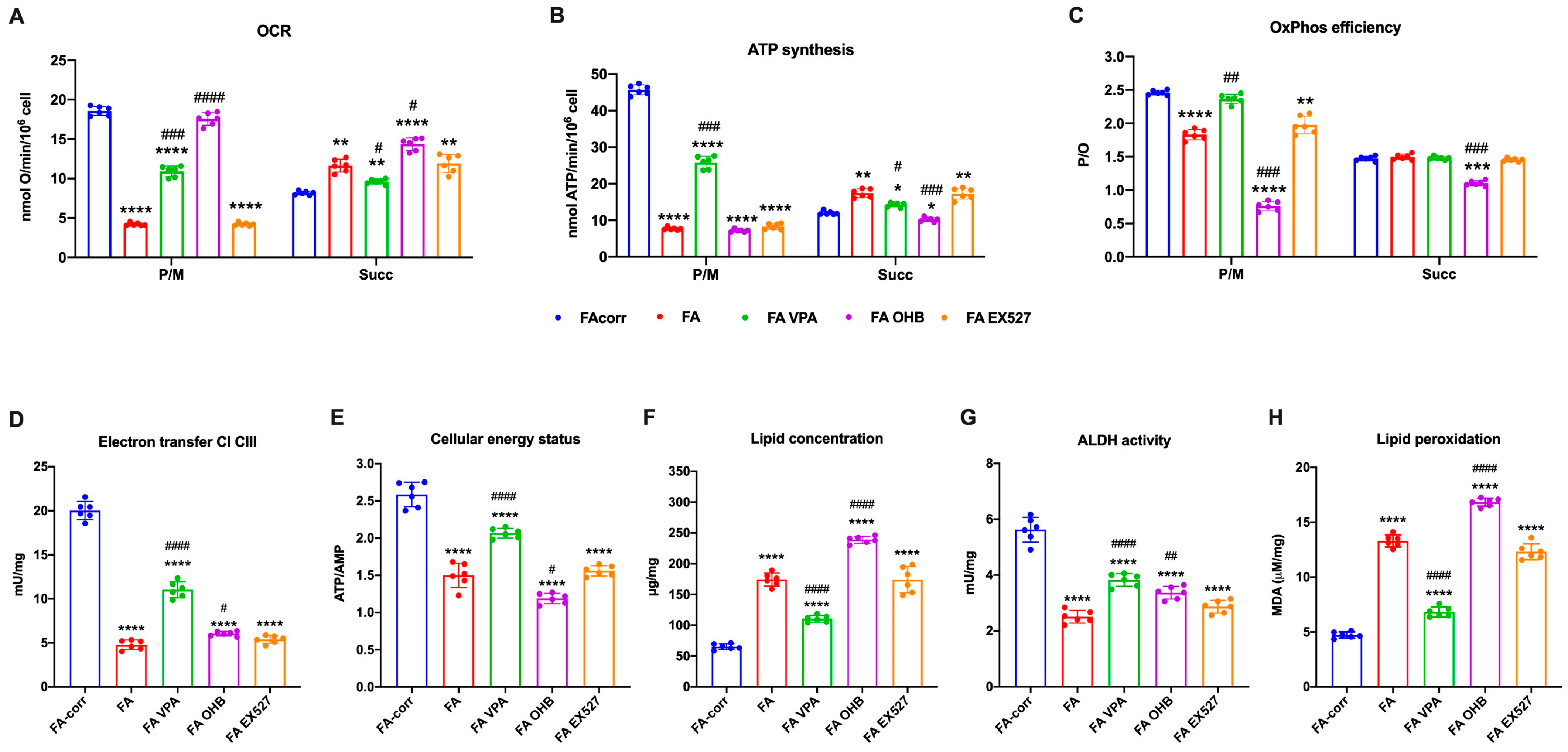 Antioxidants 12 01100 g002 Antioxidants 12 01100 g002