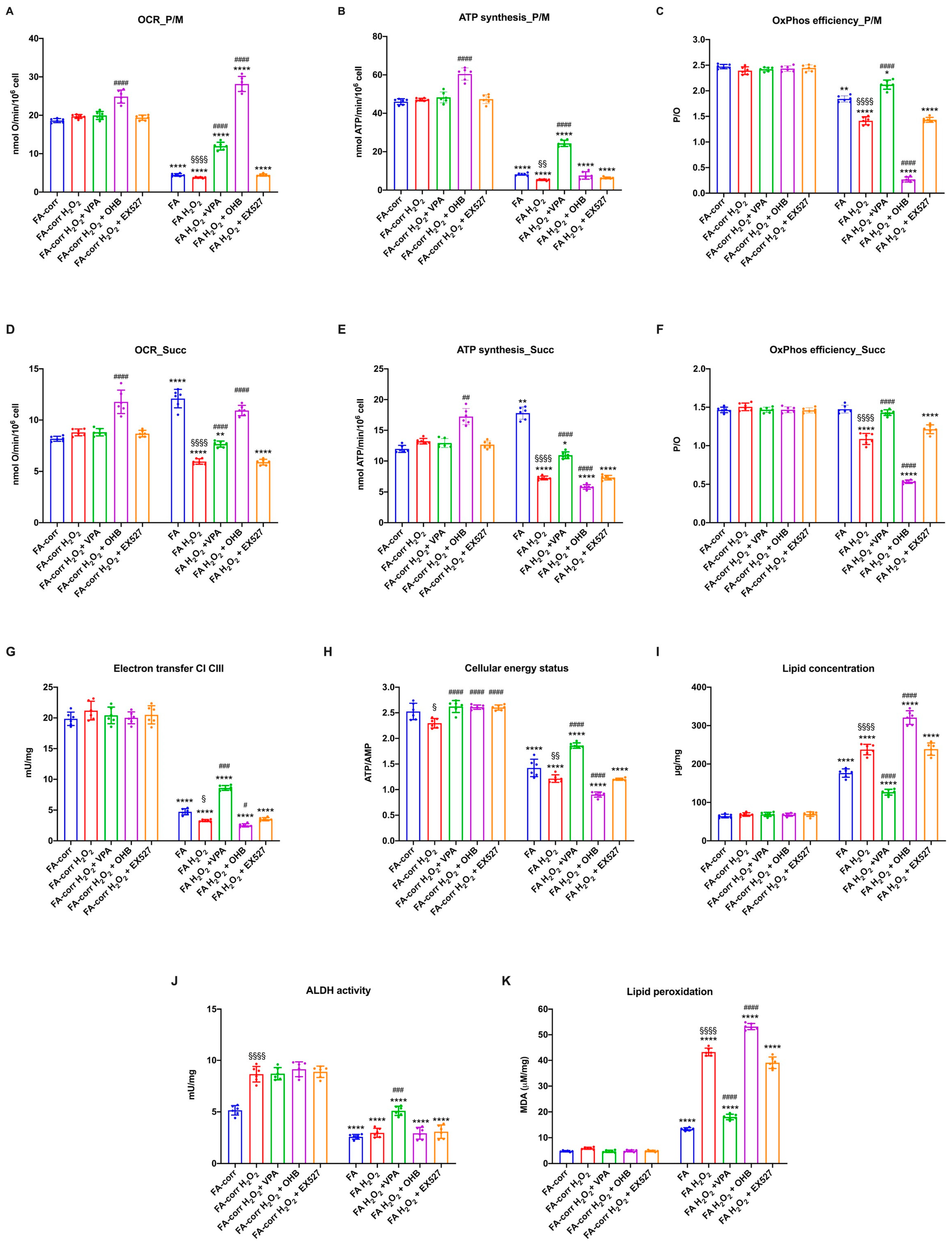 Antioxidants 12 01100 g006 Antioxidants 12 01100 g006