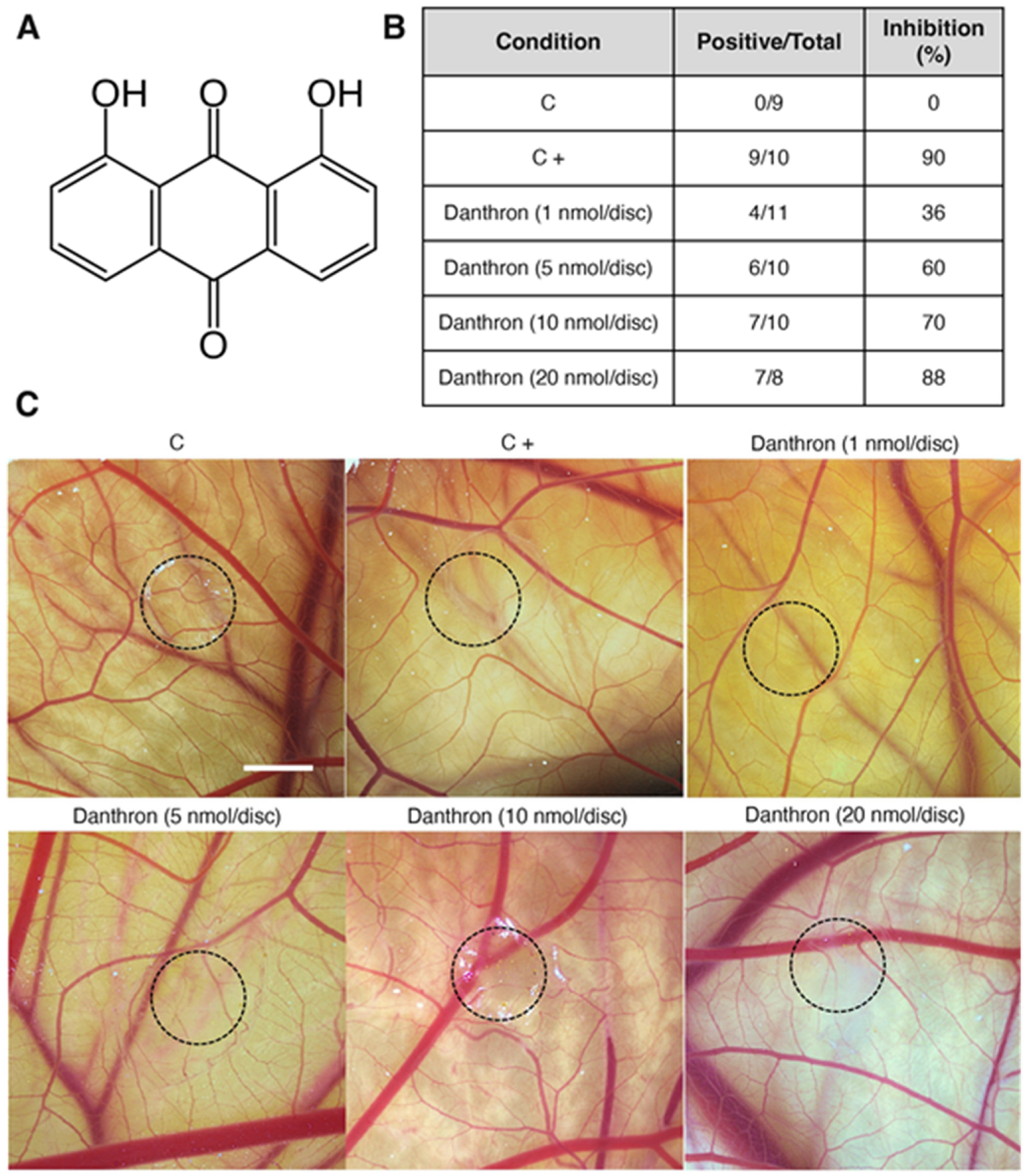 Antioxidants 12 01101 g001