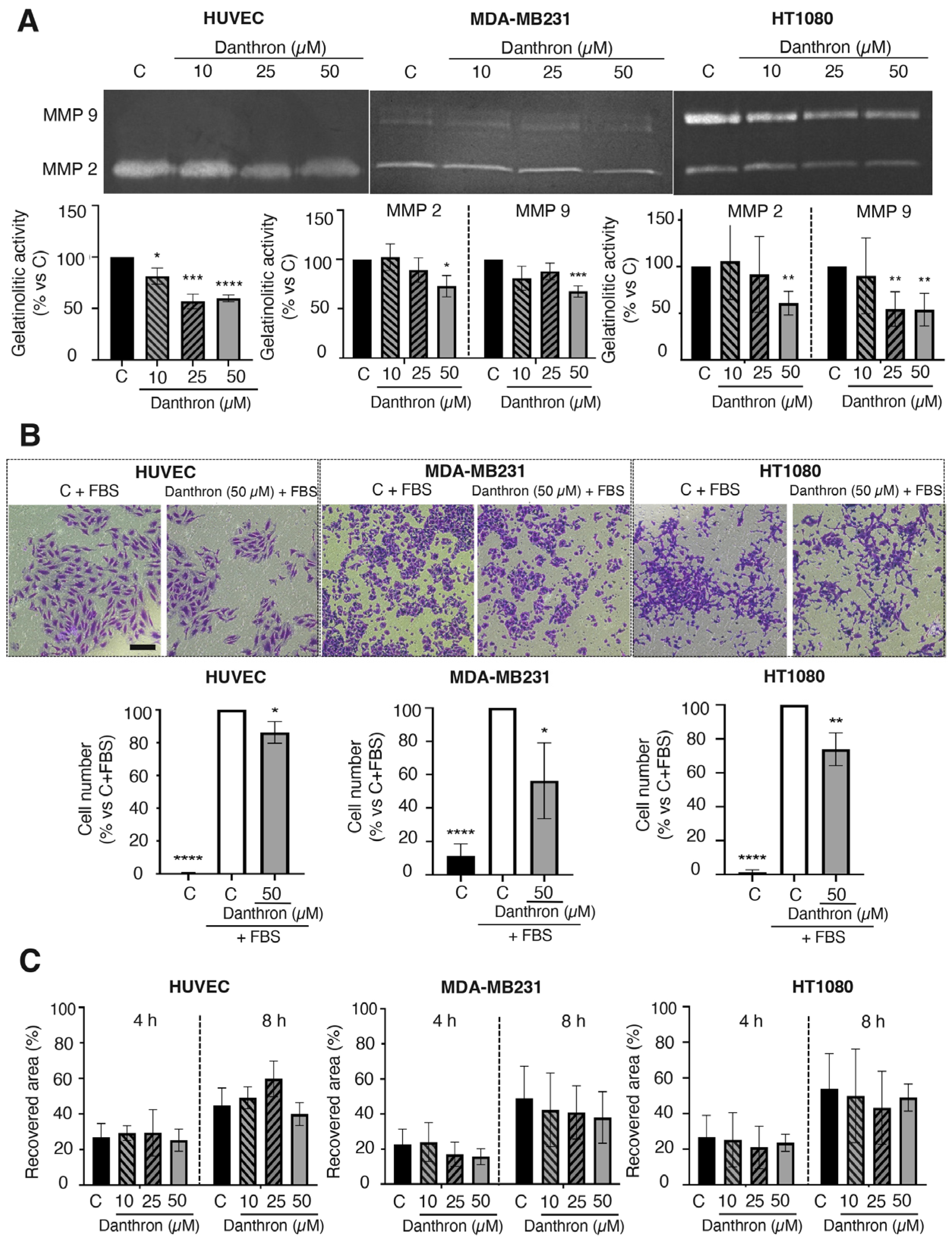Antioxidants 12 01101 g004