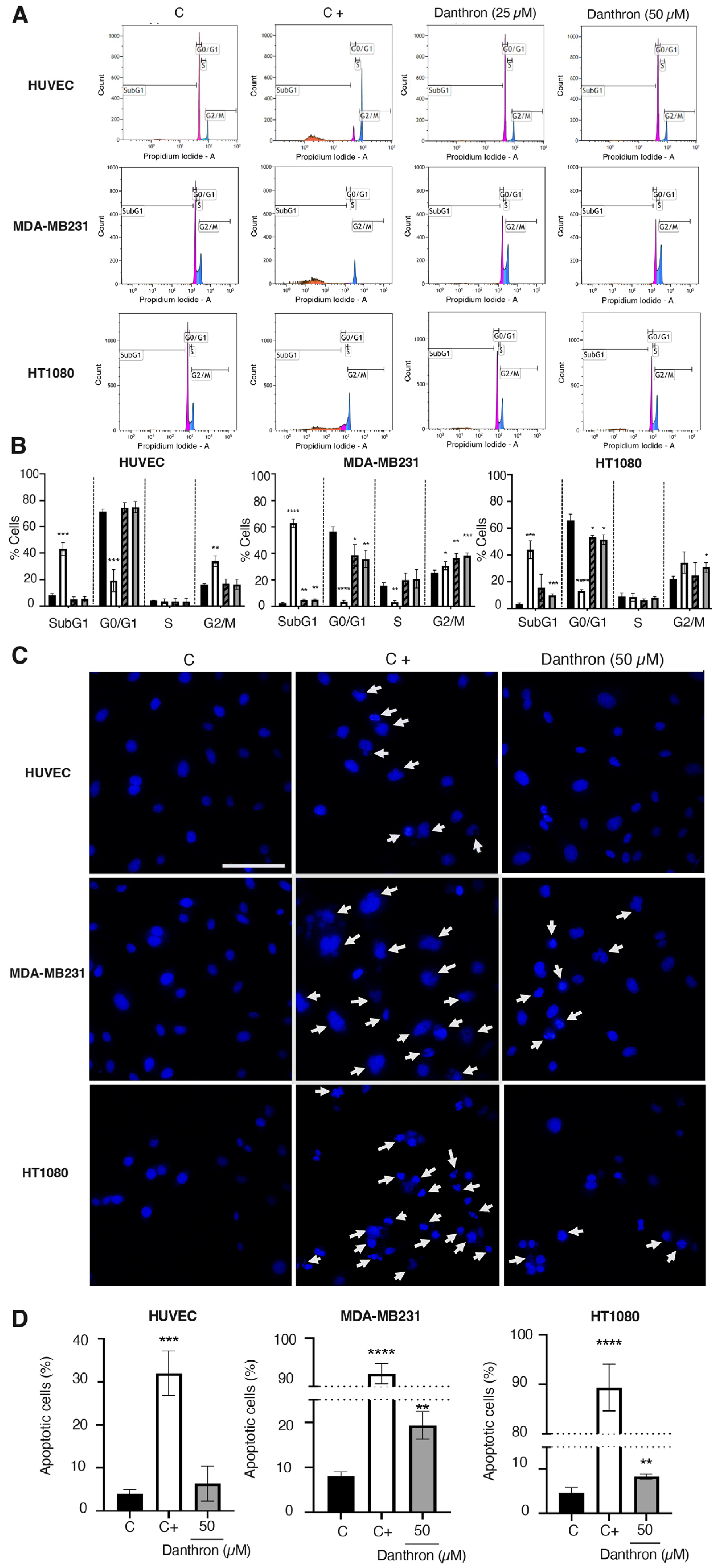 Antioxidants 12 01101 g005