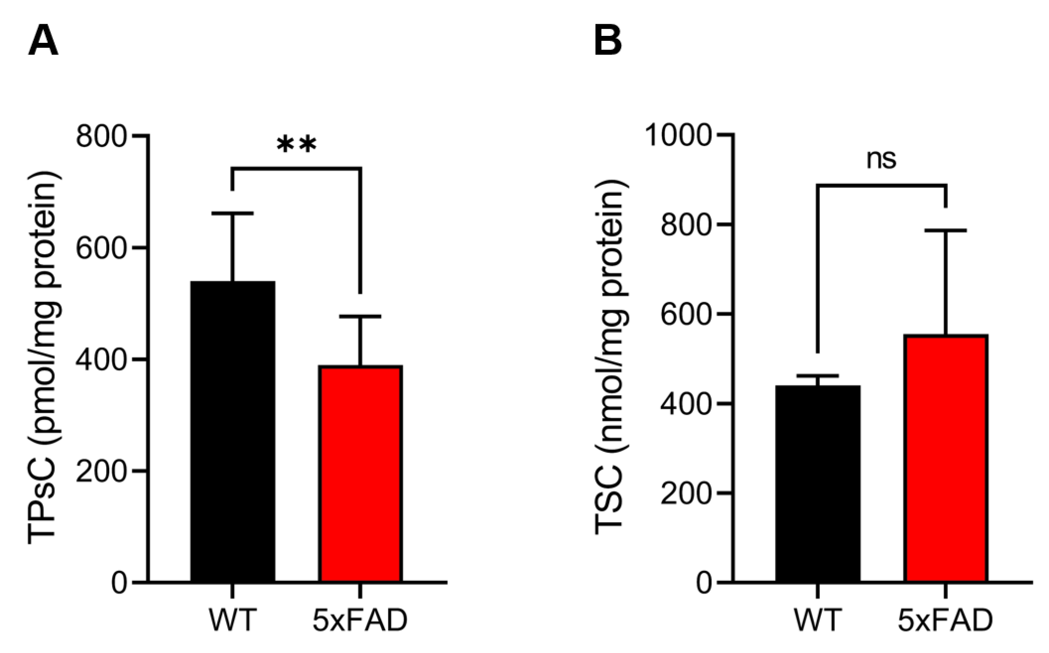 Reactive Sulfur Species Omics Analysis in the Brain Tissue