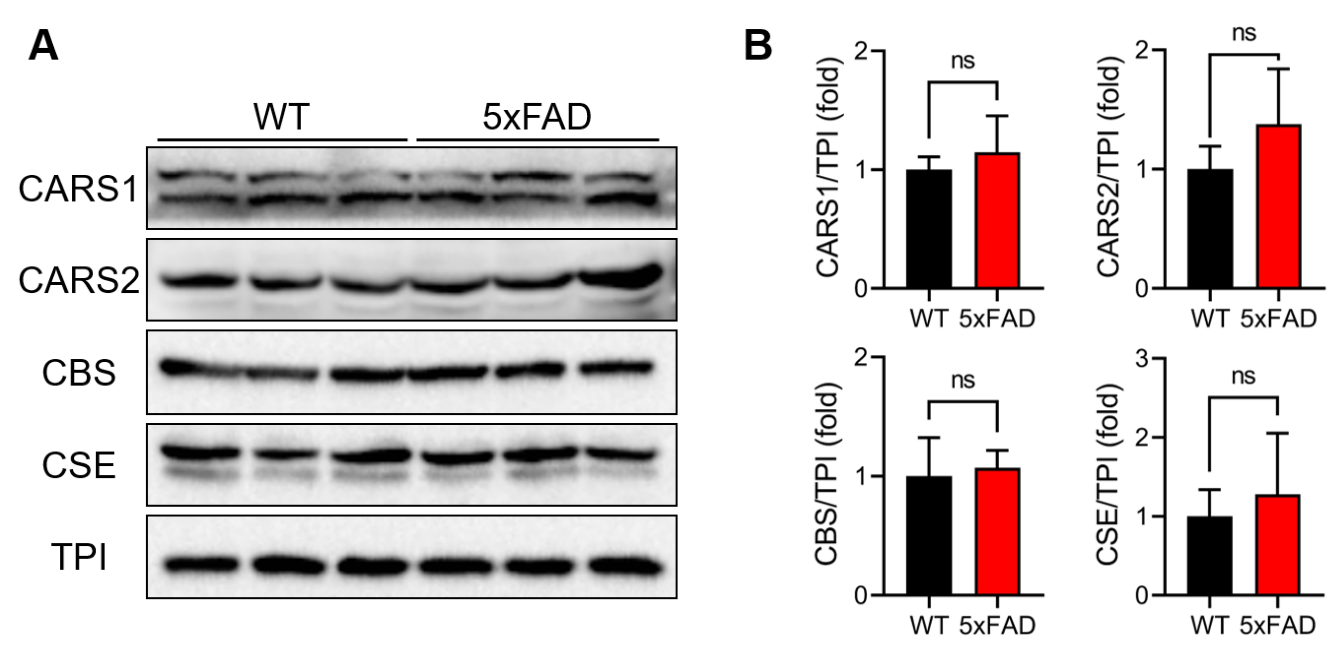 その他 mouse Ninjutso（ニンジュツォ） Sora ソラ ワイヤレスマウス ブラック