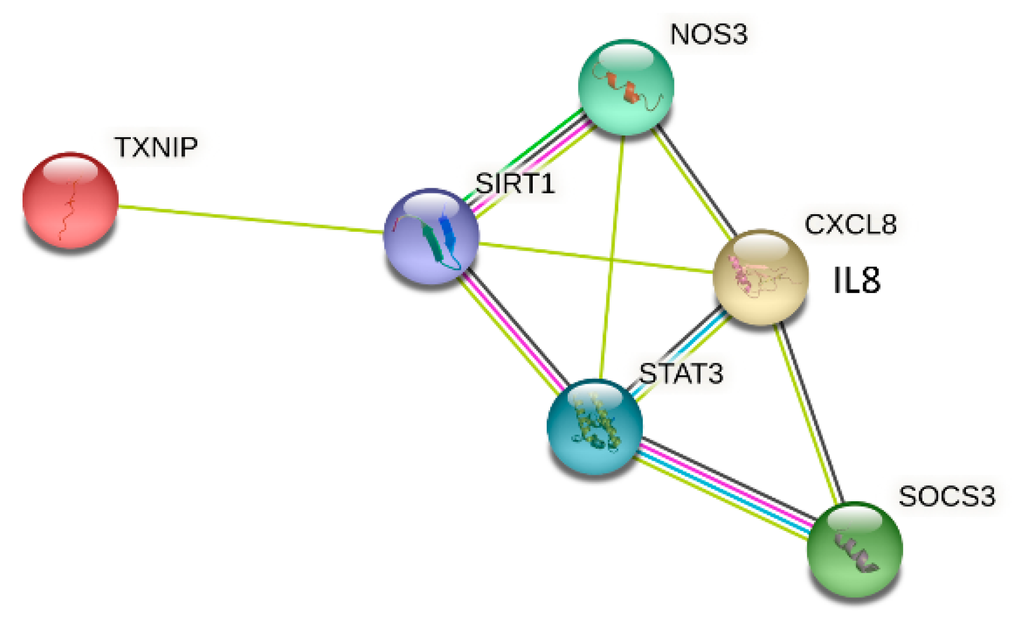 Antioxidants 12 01109 g001 Antioxidants 12 01109 g001