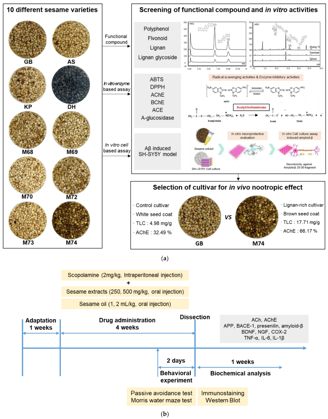 PDF) Ex vivo model exhibits protective effects of sesamin against