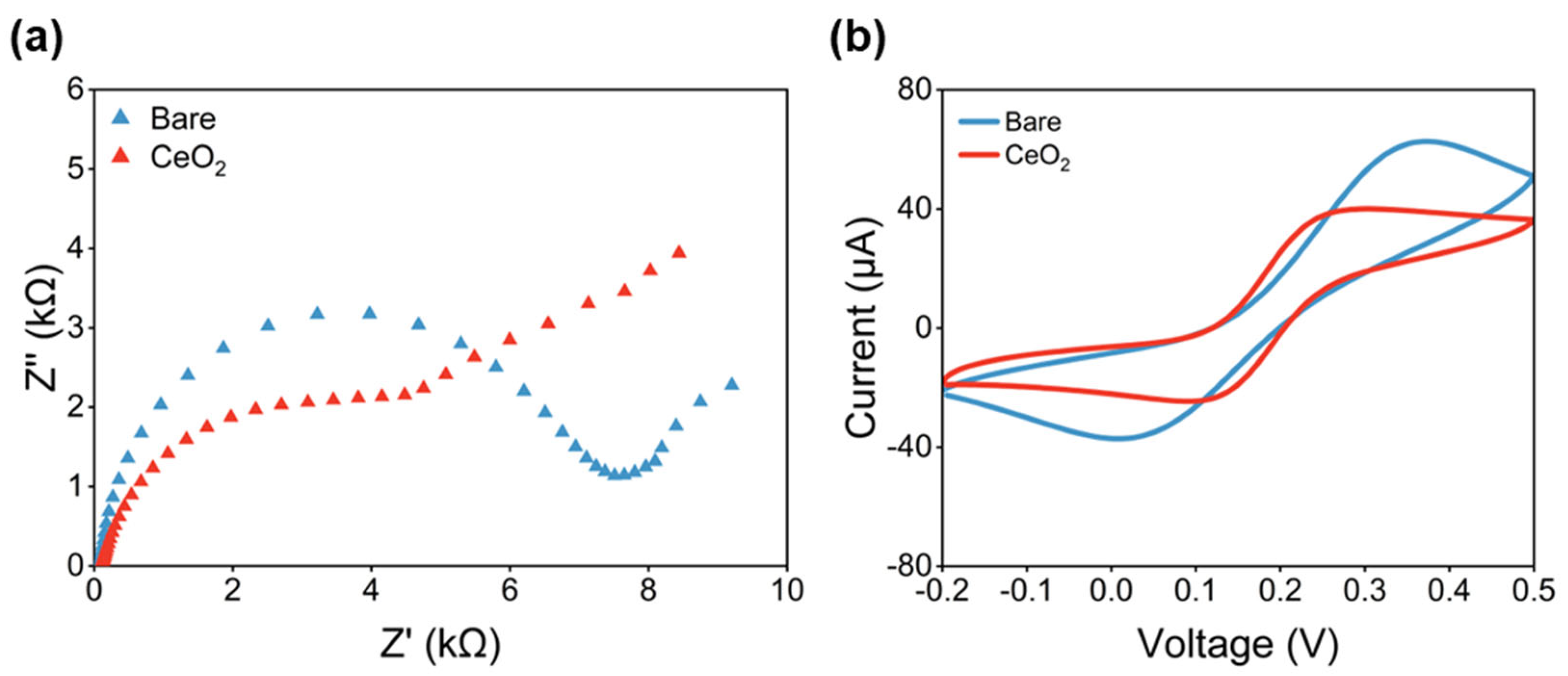 Antioxidants 12 01120 g002