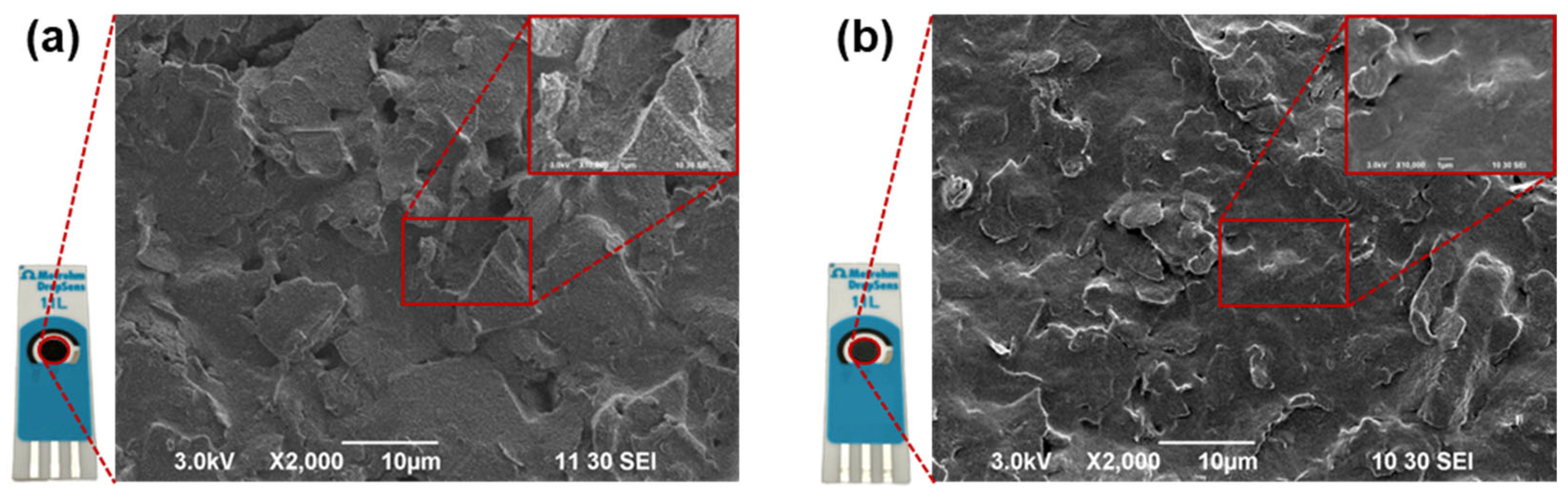 Antioxidants 12 01120 g003