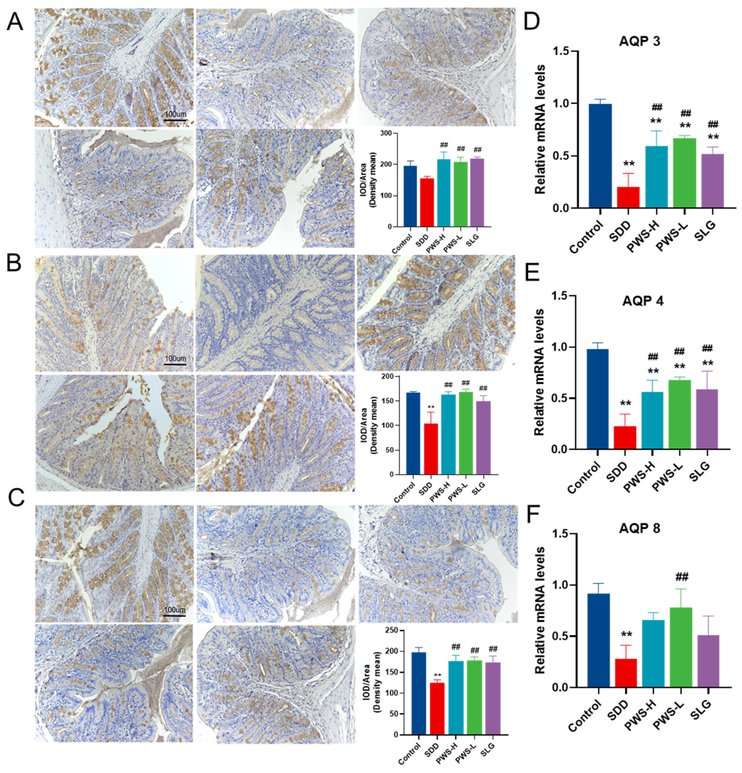 Antioxidants 12 01122 g005