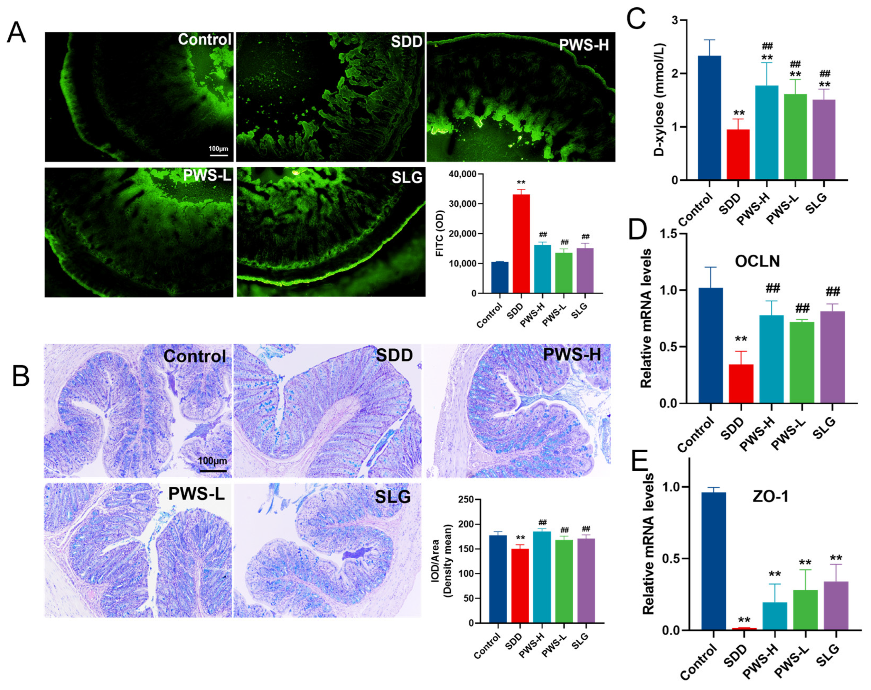 Antioxidants 12 01122 g006