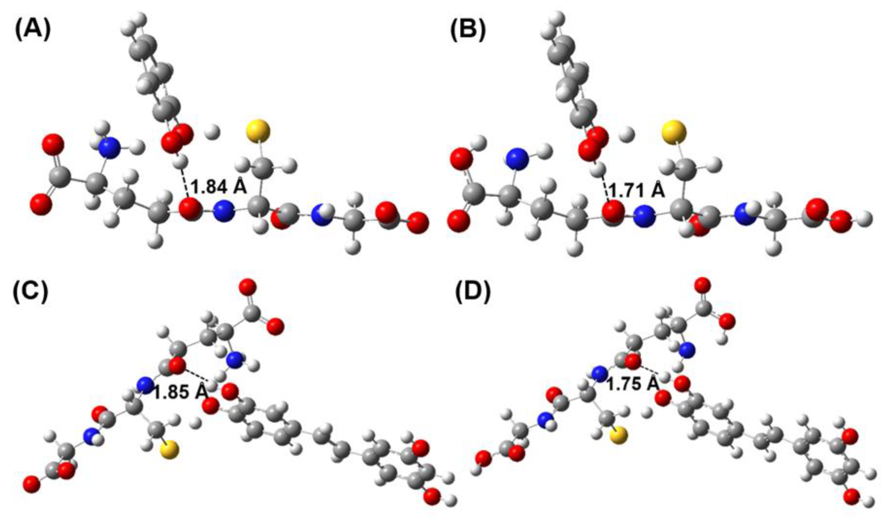 Antioxidants 12 01125 g001 Antioxidants 12 01125 g001