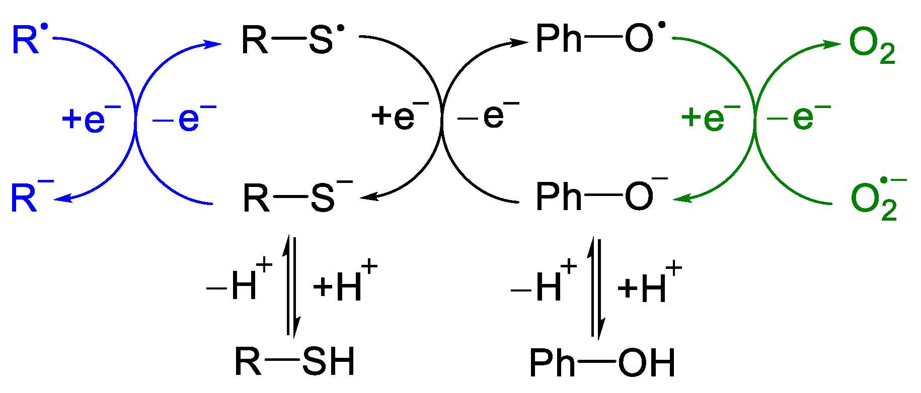 Antioxidants 12 01125 sch001 Antioxidants 12 01125 sch001