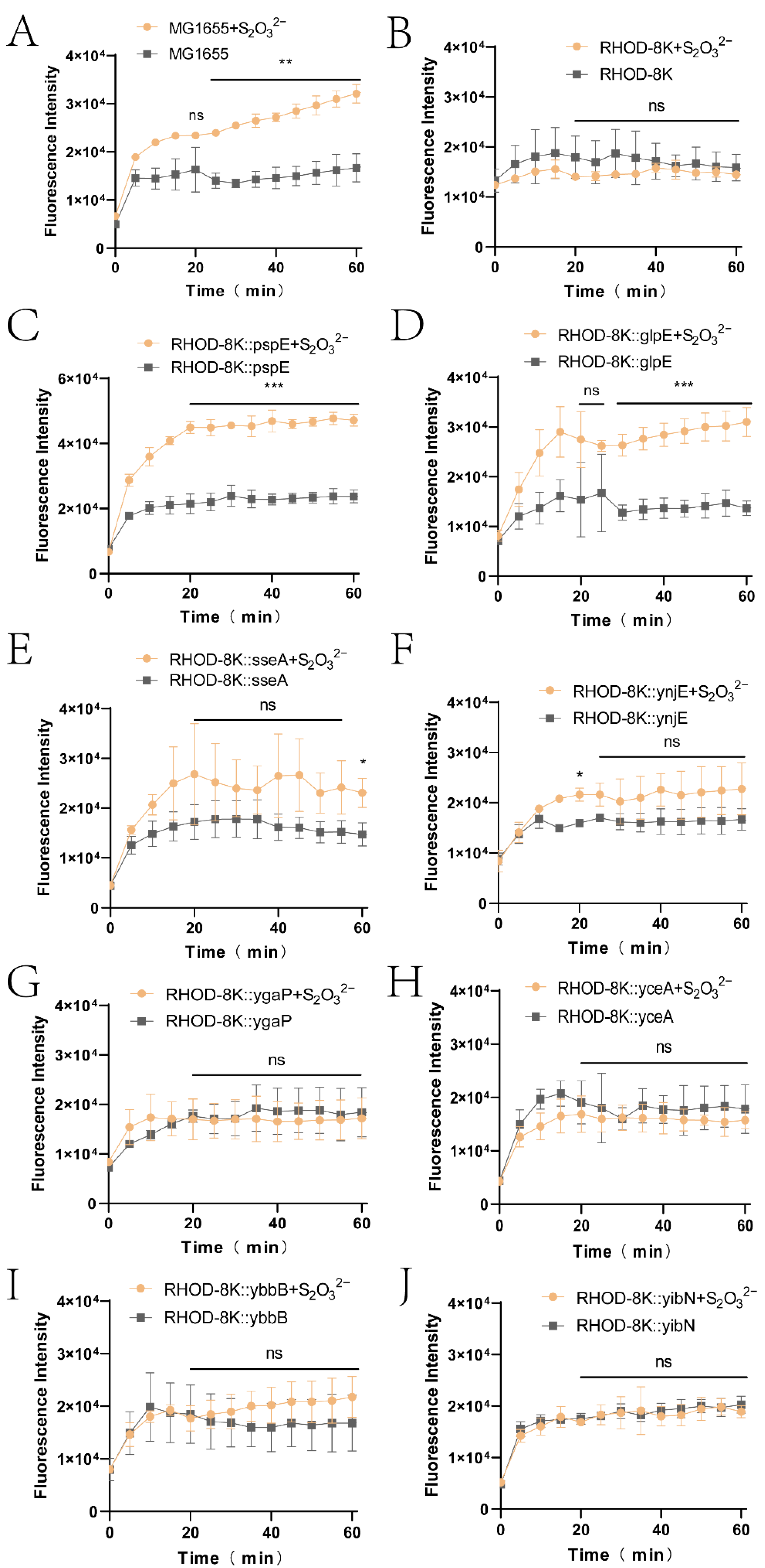 Antioxidants 12 01127 g002 Antioxidants 12 01127 g002