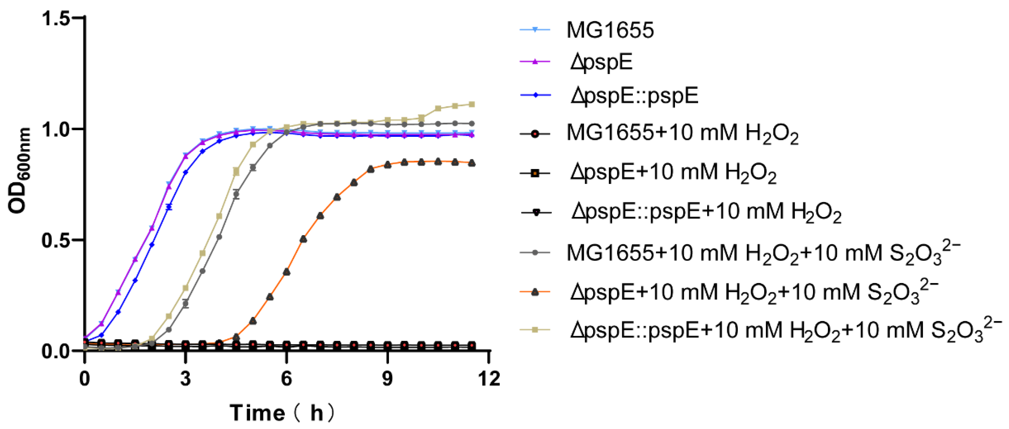 Antioxidants 12 01127 g005 Antioxidants 12 01127 g005