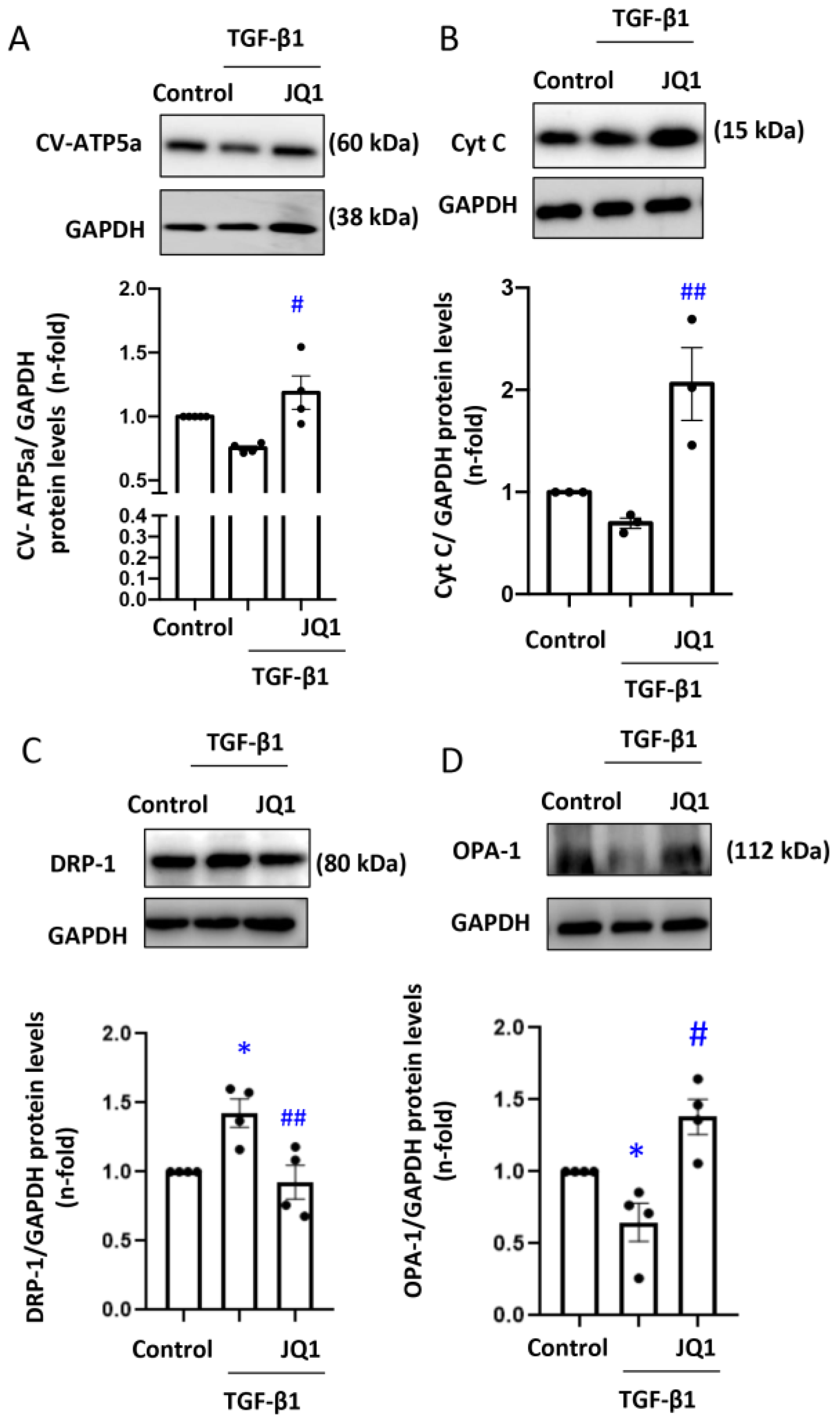 Antioxidants 12 01130 g002