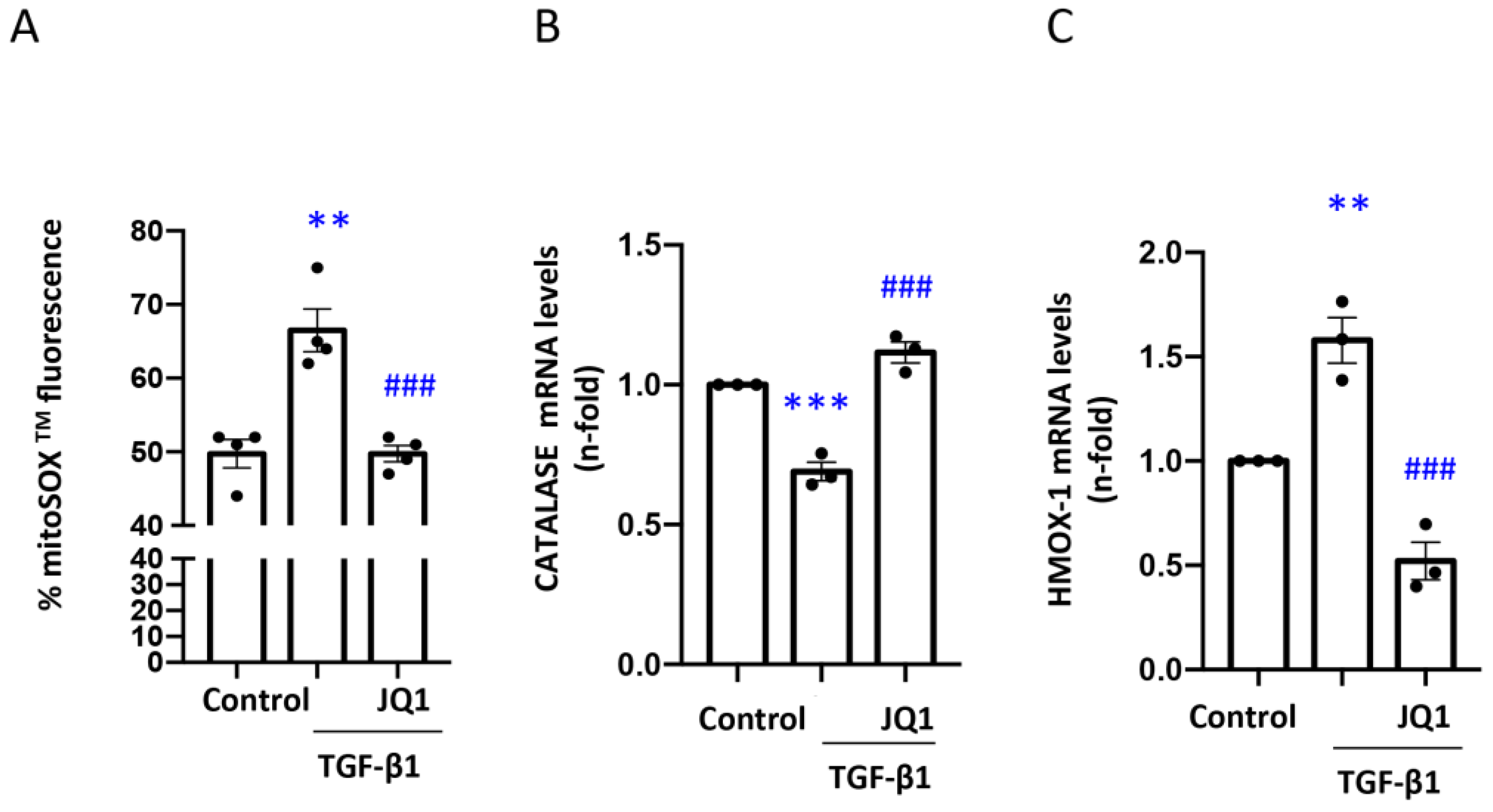 Antioxidants 12 01130 g003