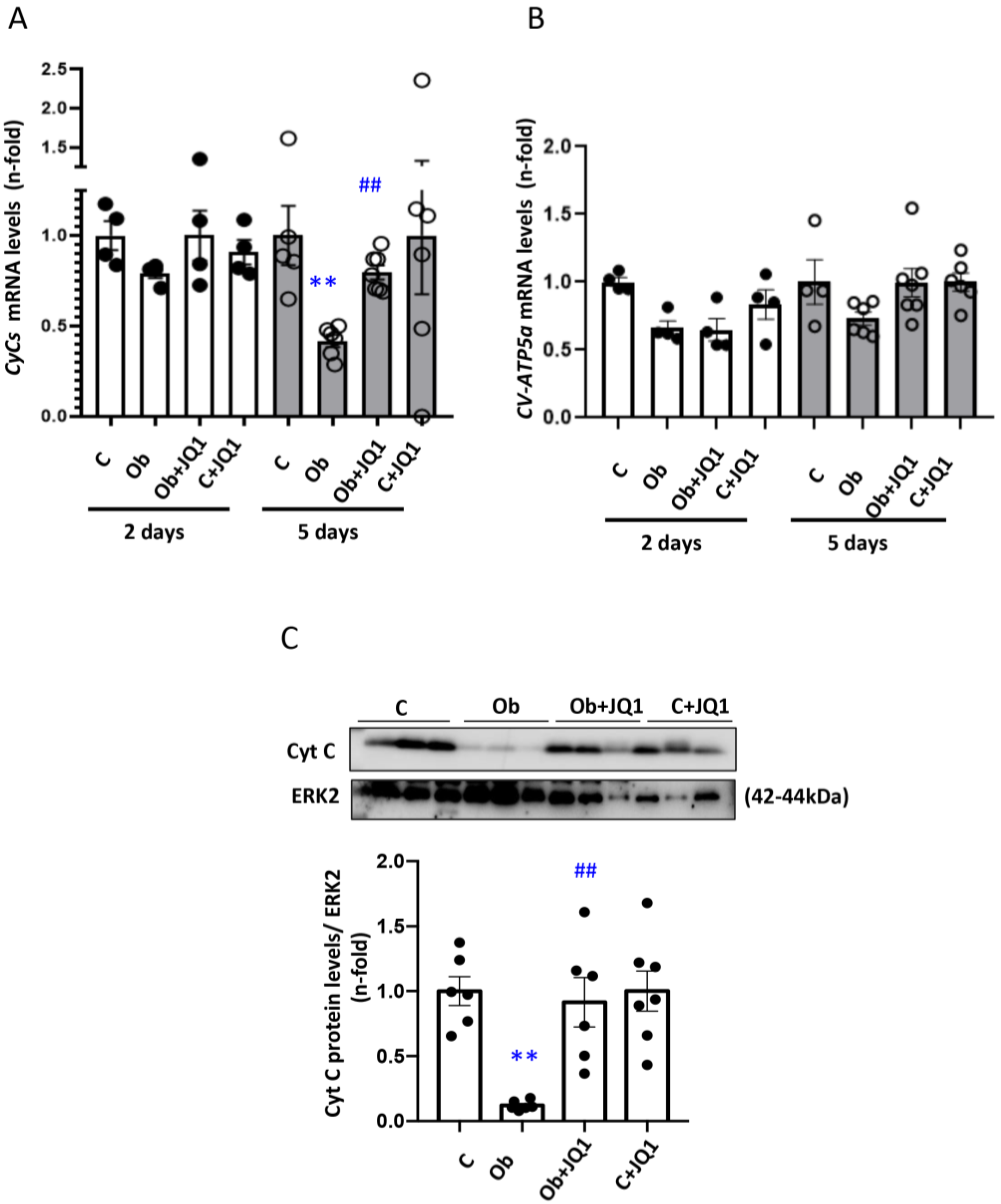 Antioxidants 12 01130 g005