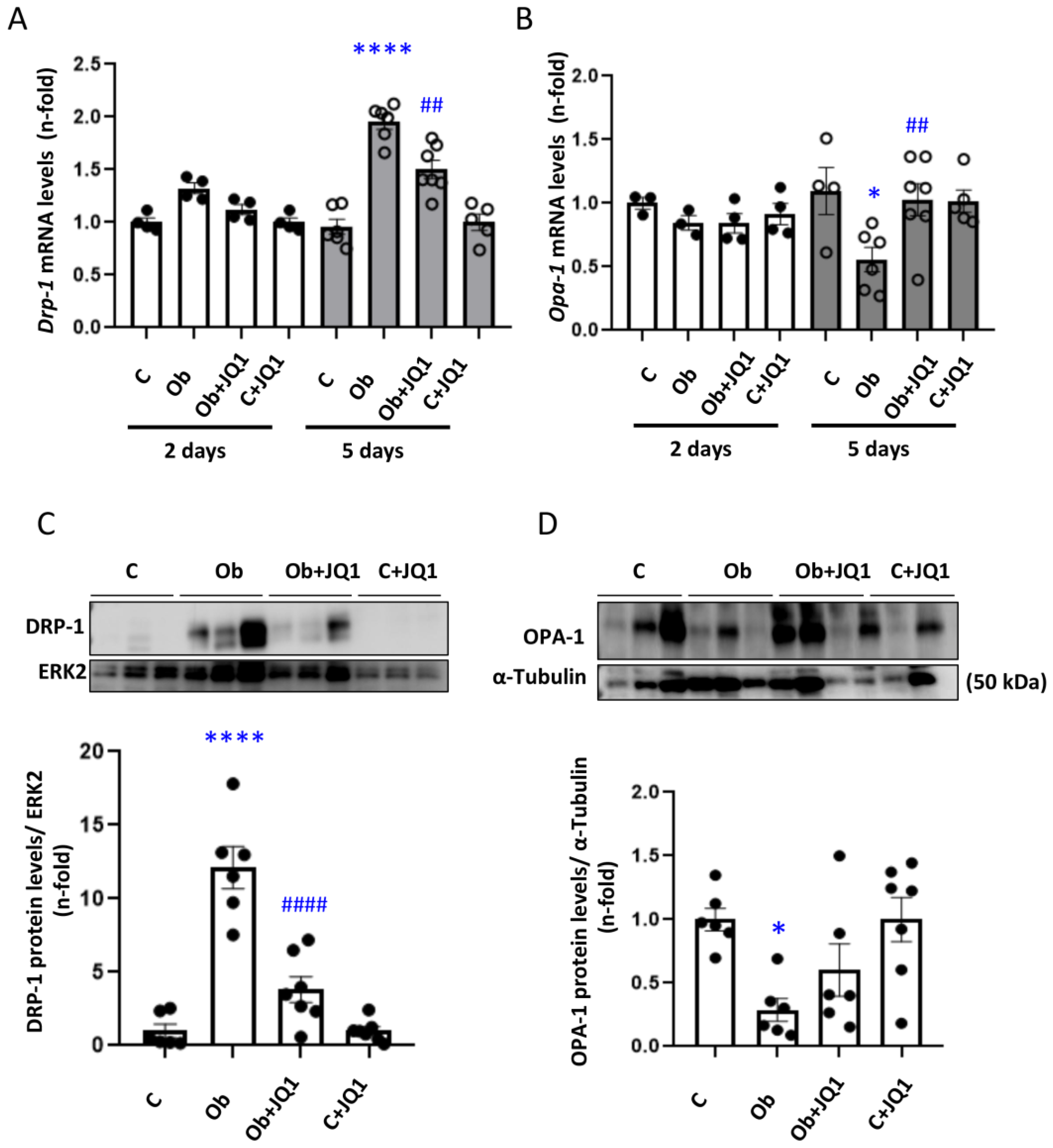 Antioxidants 12 01130 g006