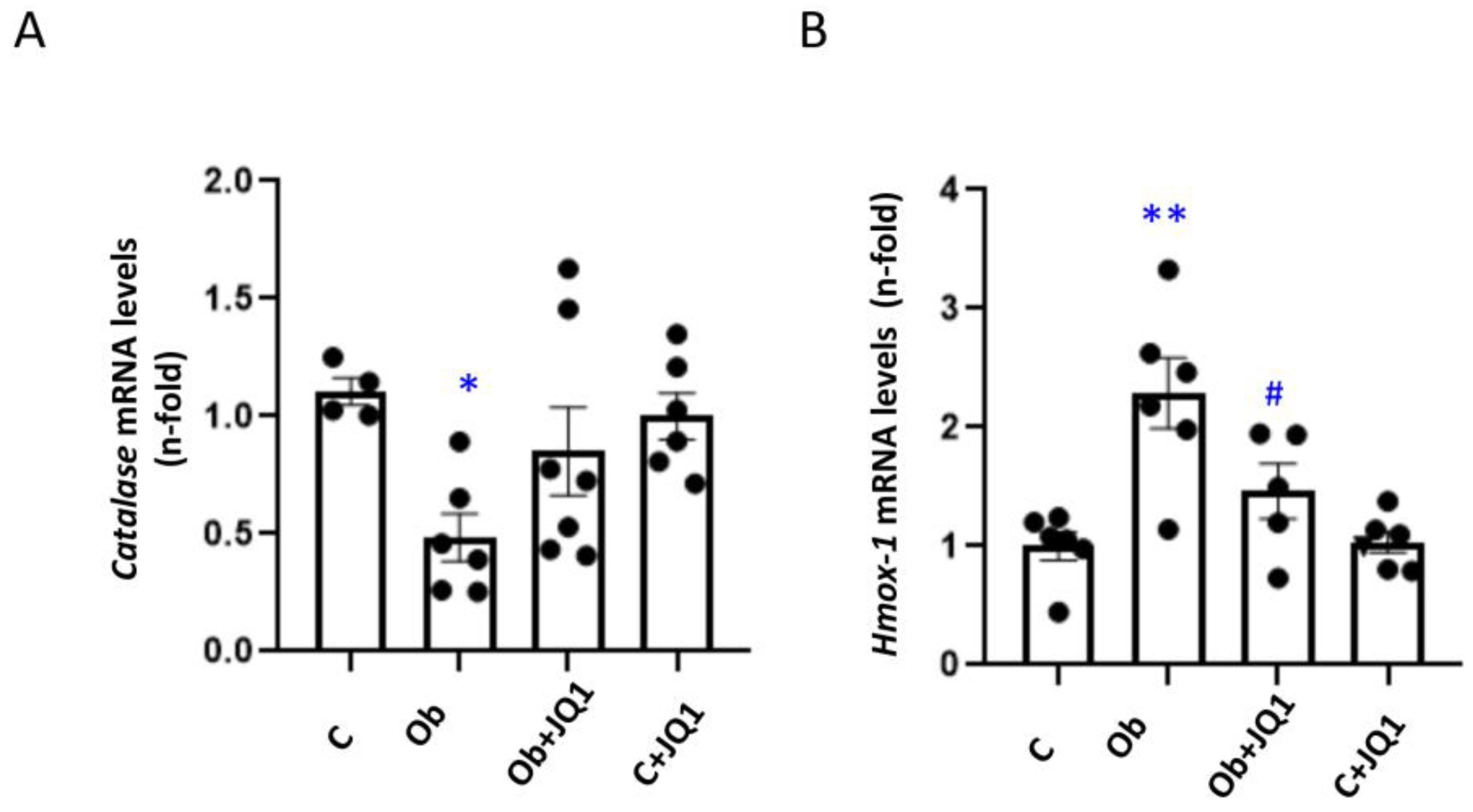 Antioxidants 12 01130 g007