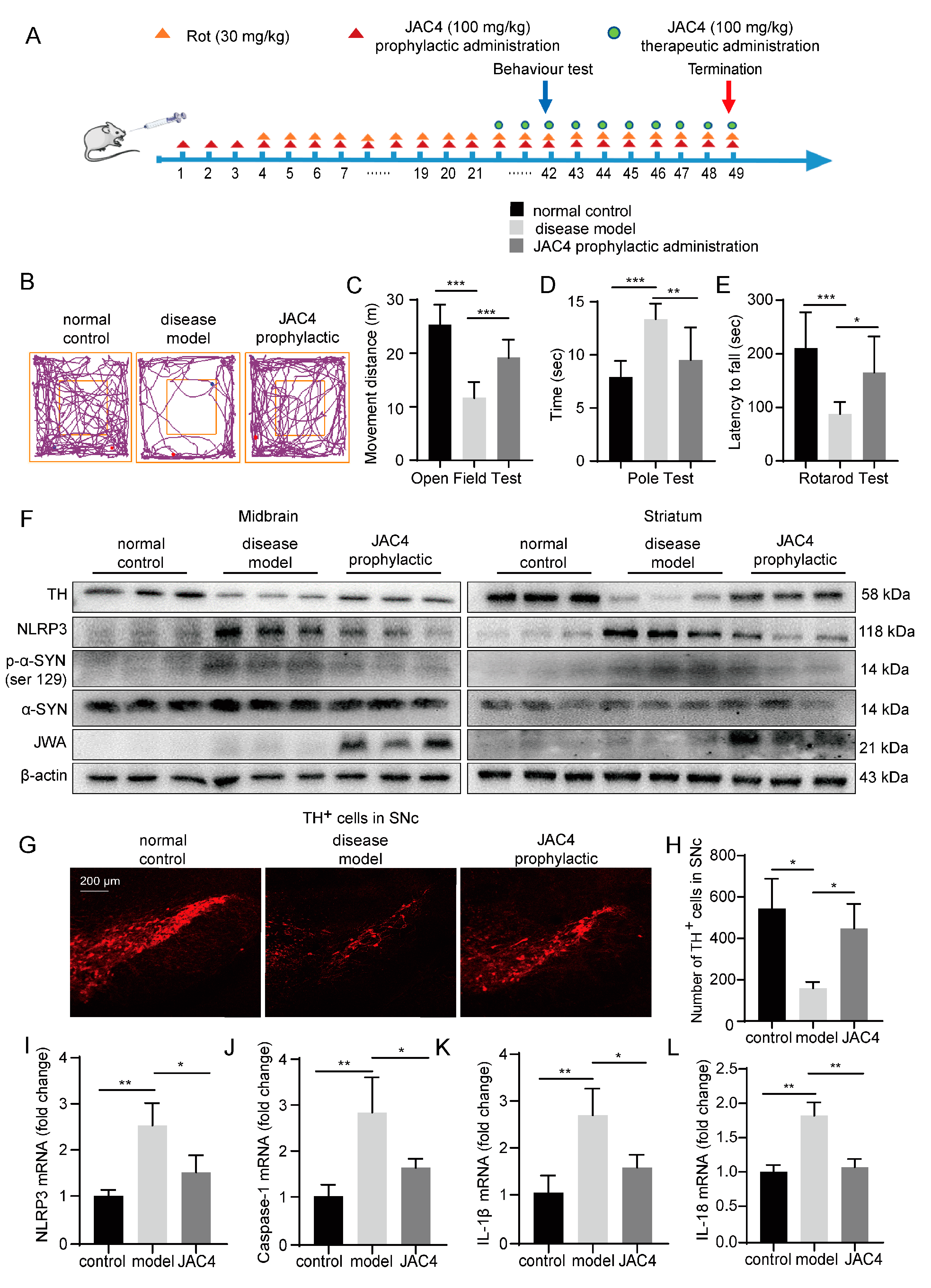 Antioxidants 12 01134 g002 Antioxidants 12 01134 g002