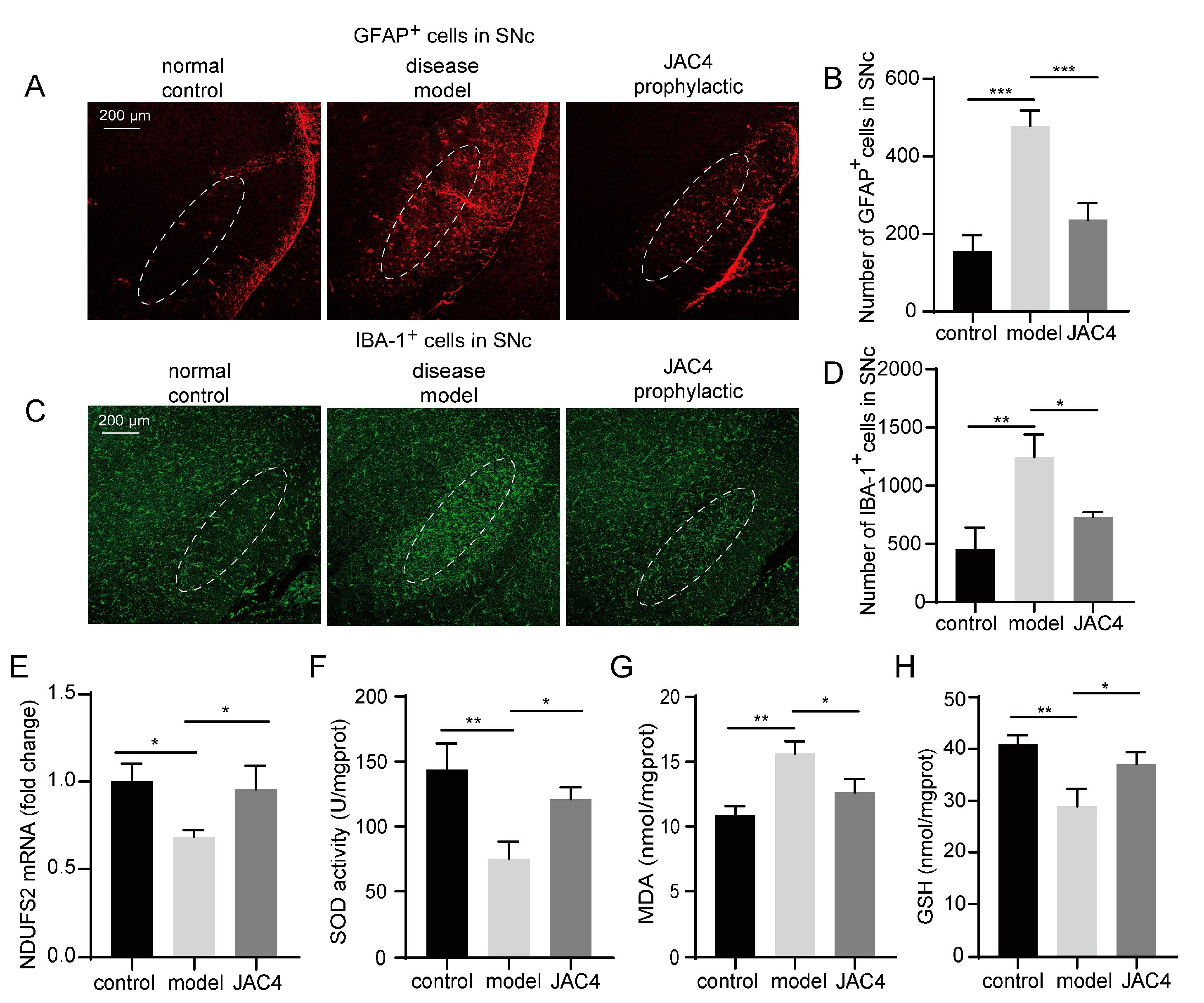 Antioxidants 12 01134 g003 Antioxidants 12 01134 g003